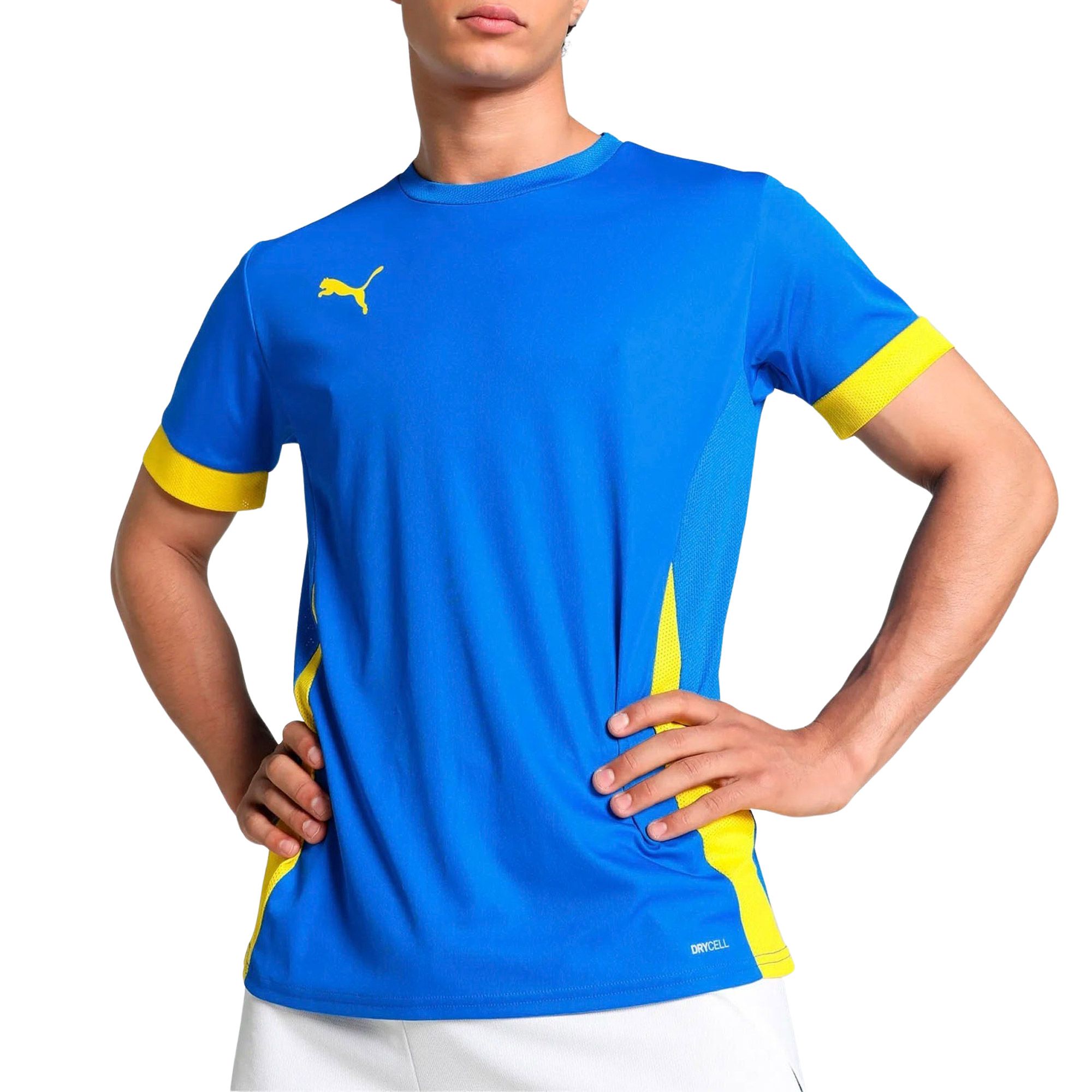 Puma TeamGOAL Matchday Shirt Heren