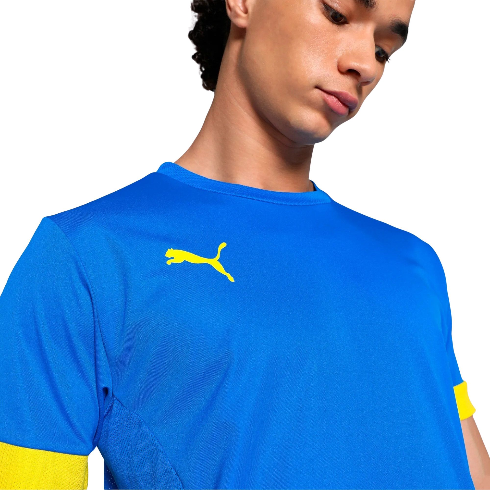 Puma TeamGOAL Matchday Shirt Heren