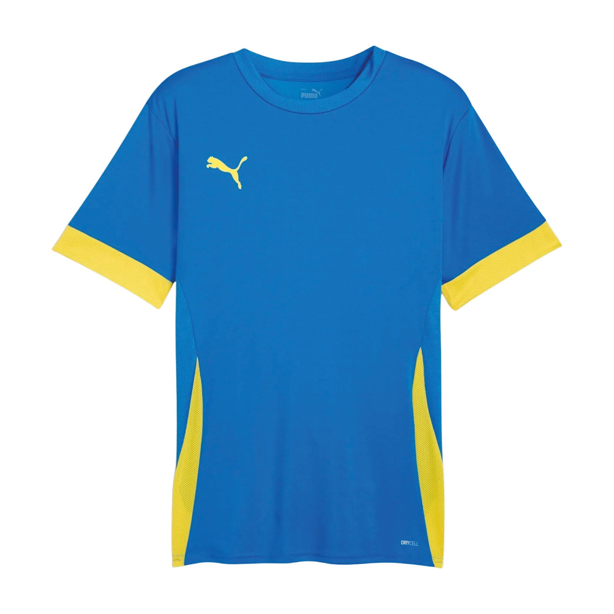 Puma TeamGOAL Matchday Shirt Heren