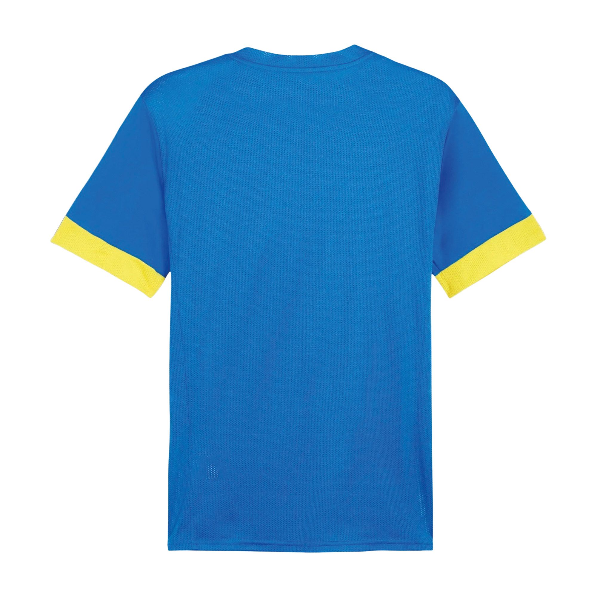 Puma TeamGOAL Matchday Shirt Heren