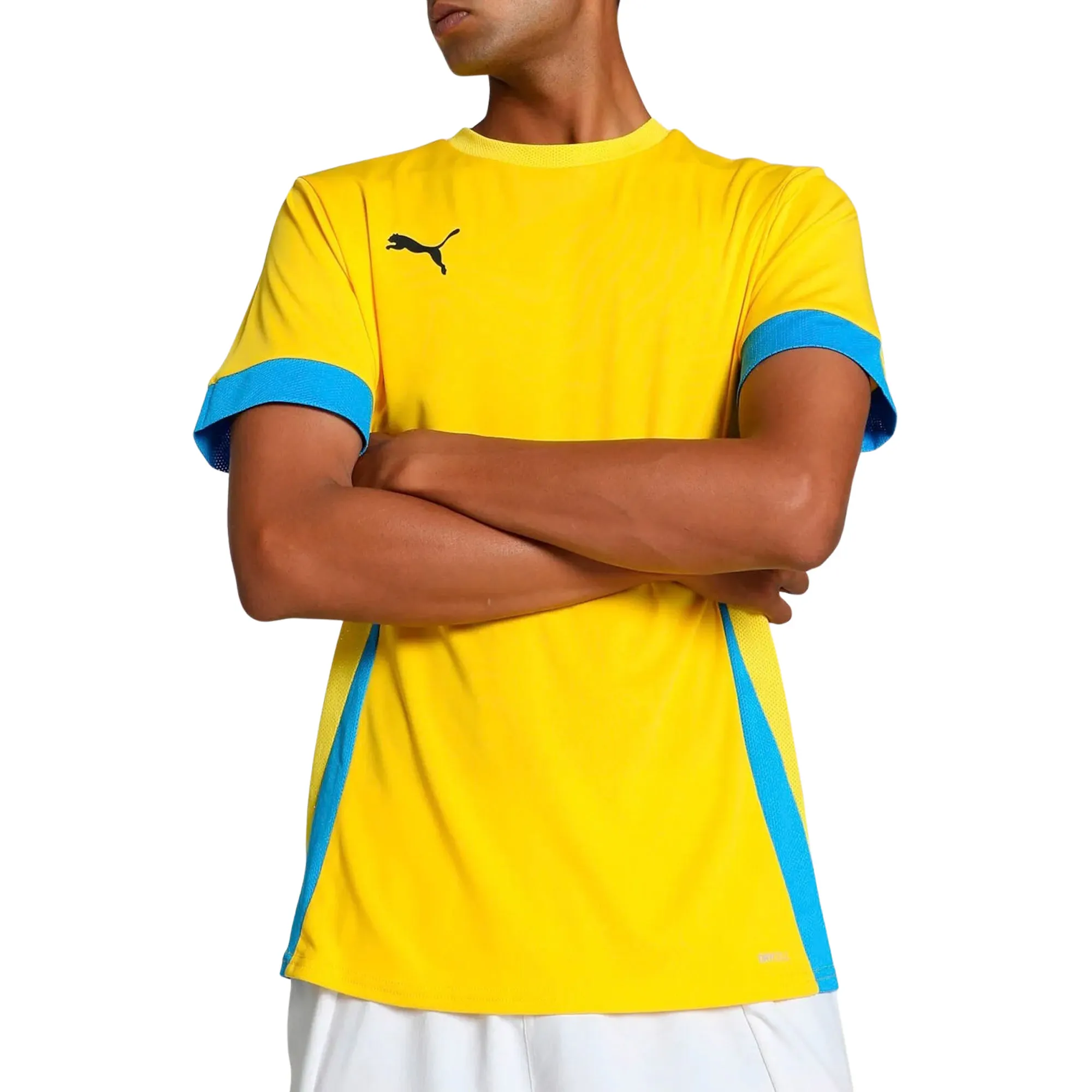 Puma TeamGOAL Matchday Shirt Heren