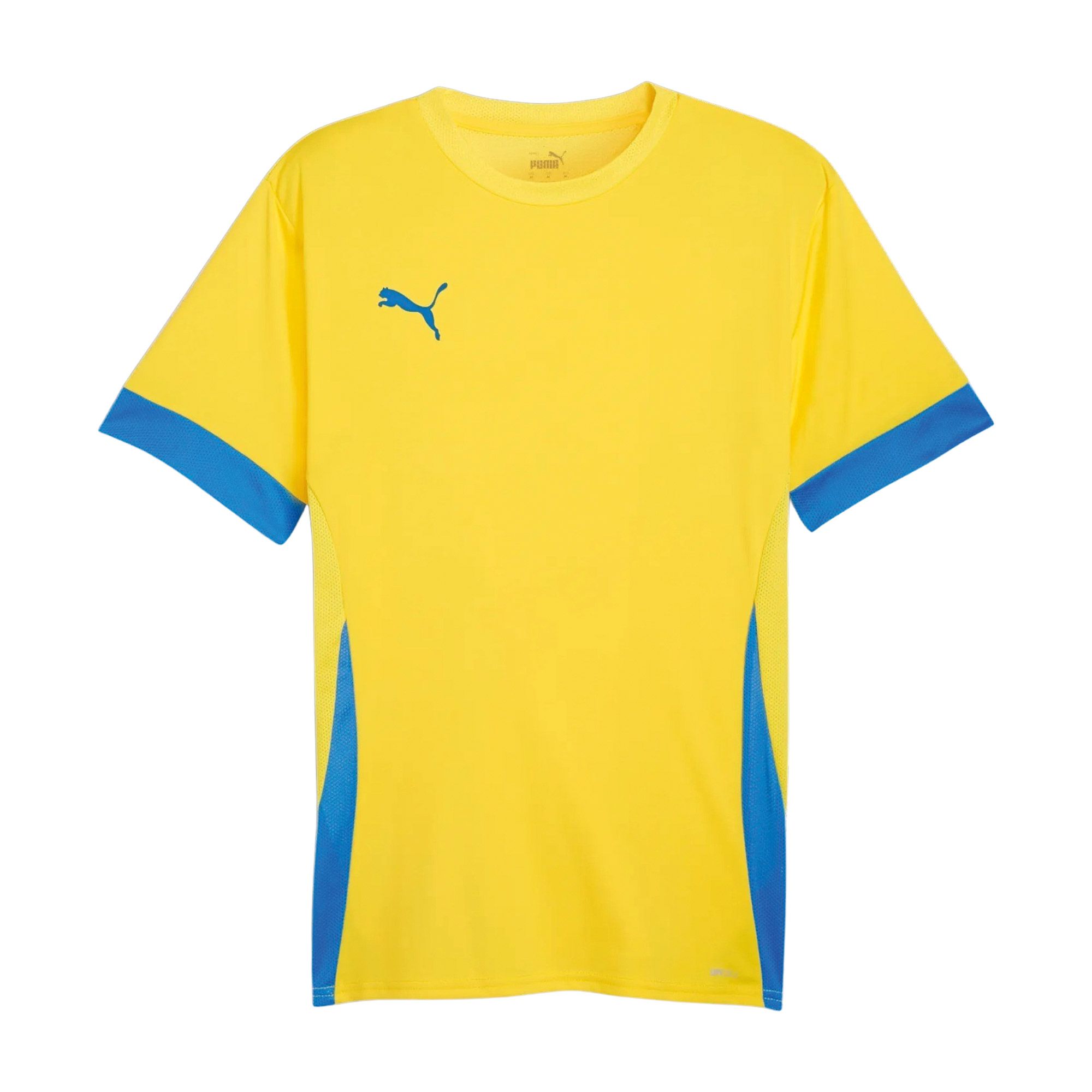 Puma TeamGOAL Matchday Shirt Heren
