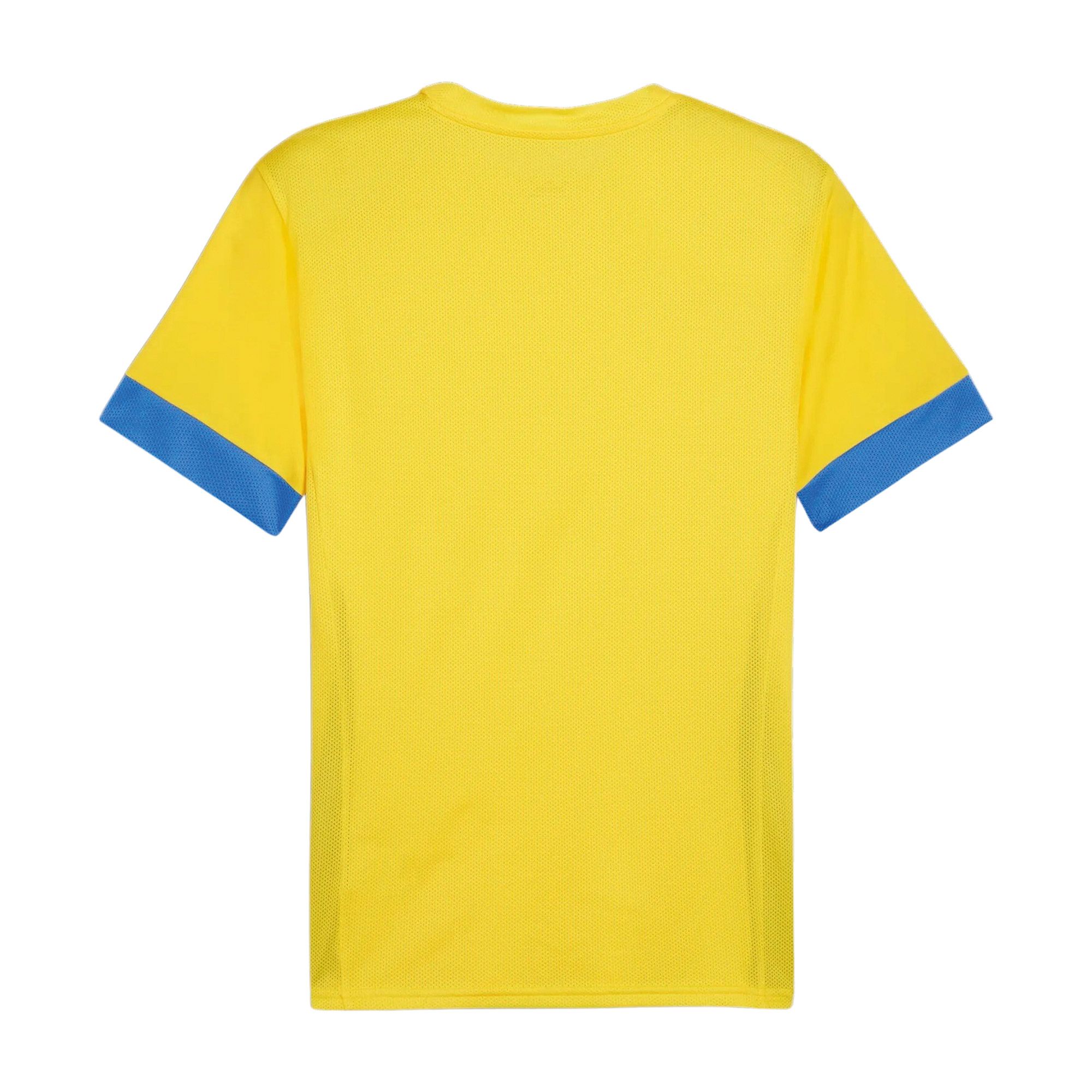 Puma TeamGOAL Matchday Shirt Heren