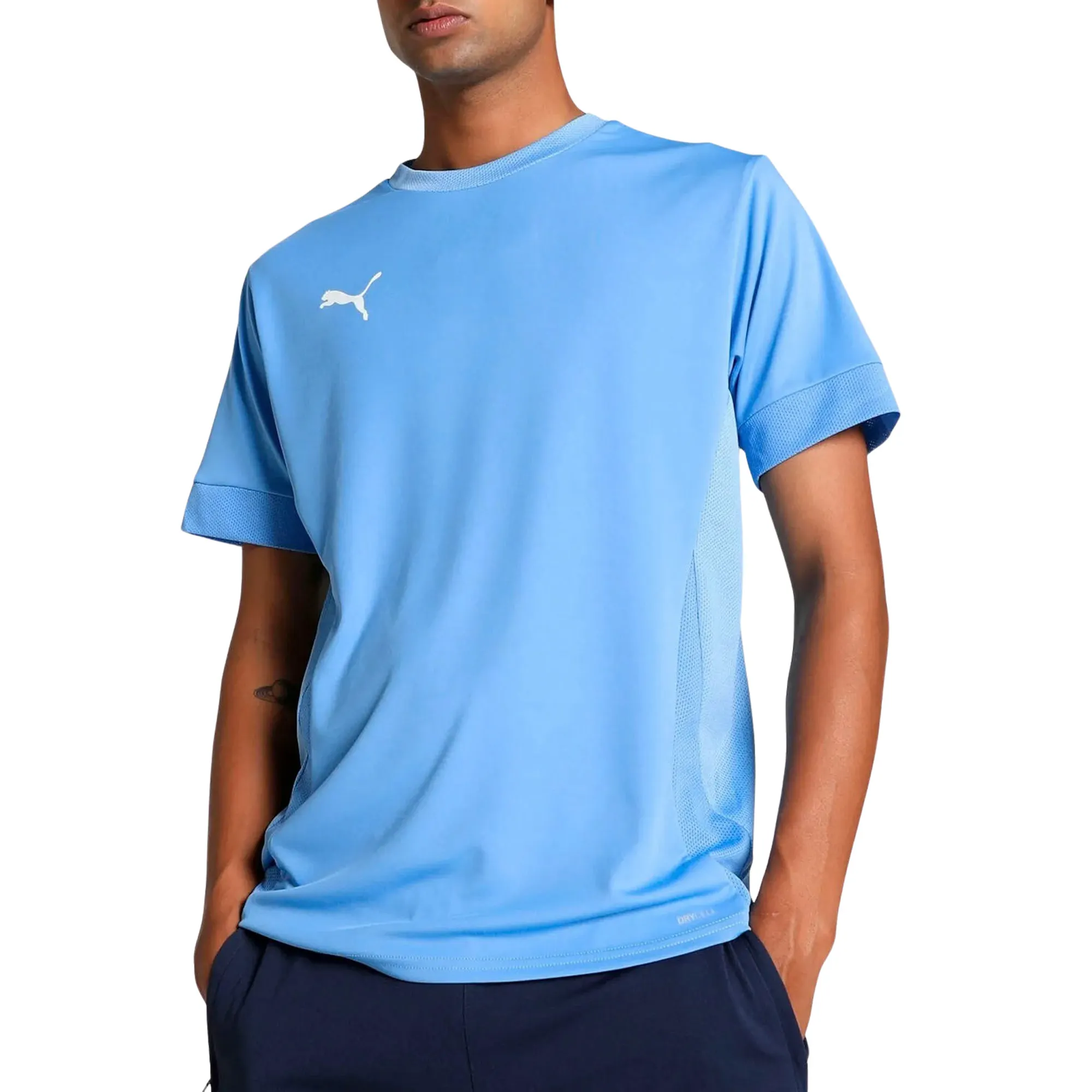 Puma TeamGOAL Matchday Shirt Heren