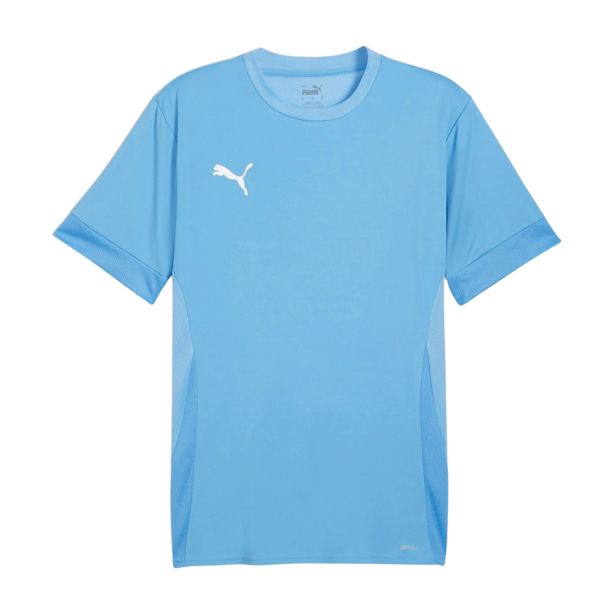 Puma TeamGOAL Matchday Shirt Heren