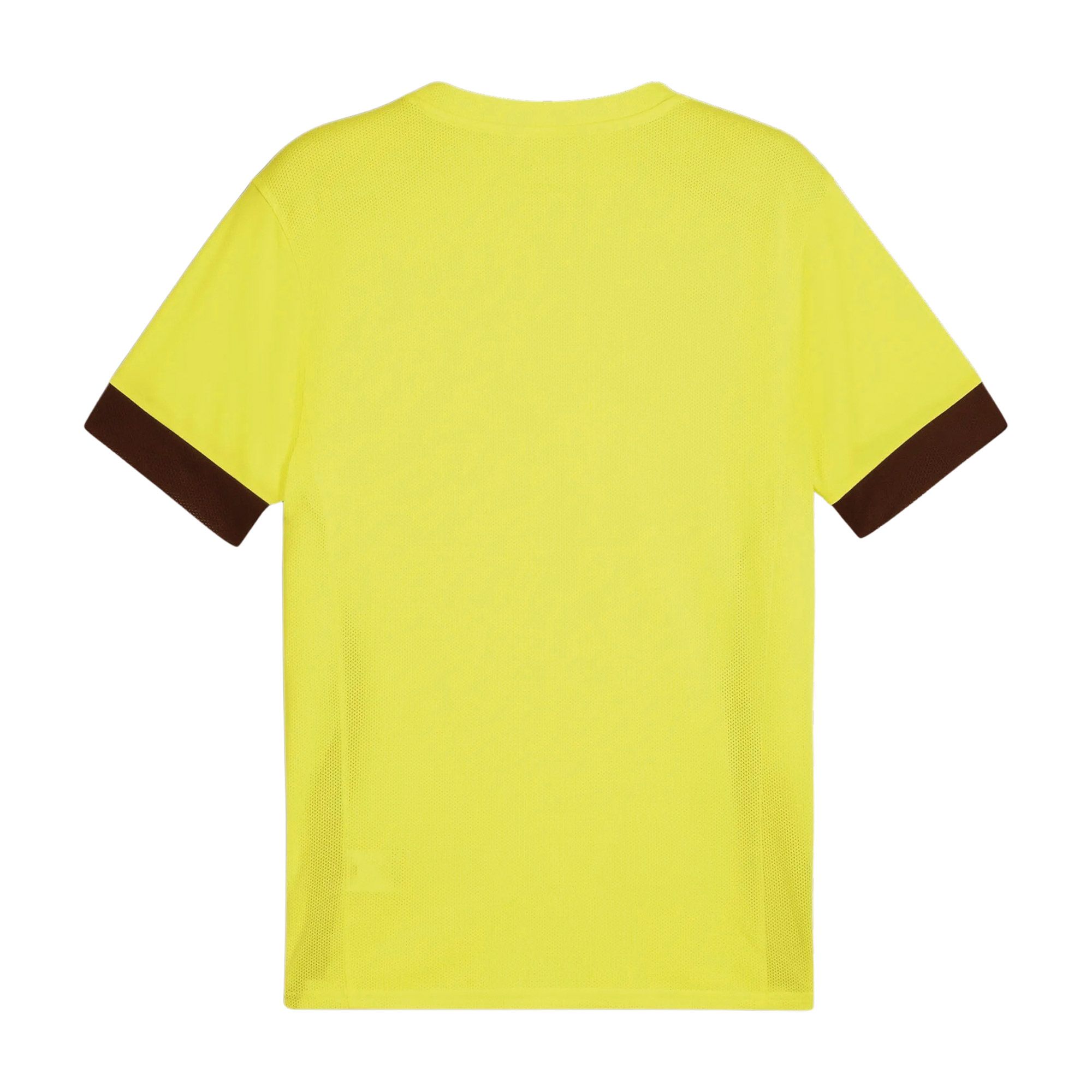 Puma TeamGOAL Matchday Shirt Heren