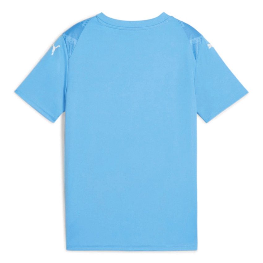 Puma teamGOAL Shirt Junior