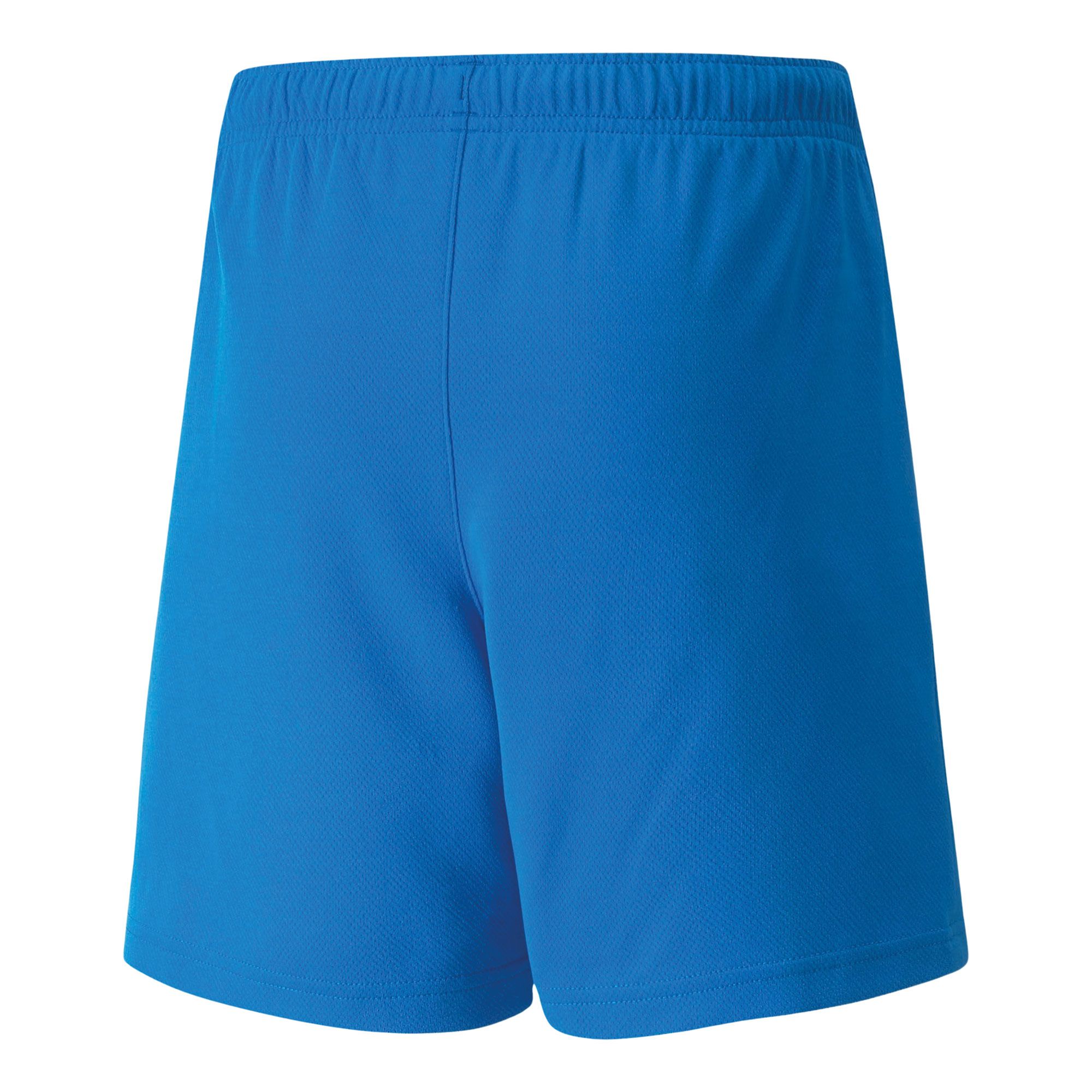 Puma teamRISE Short Junior