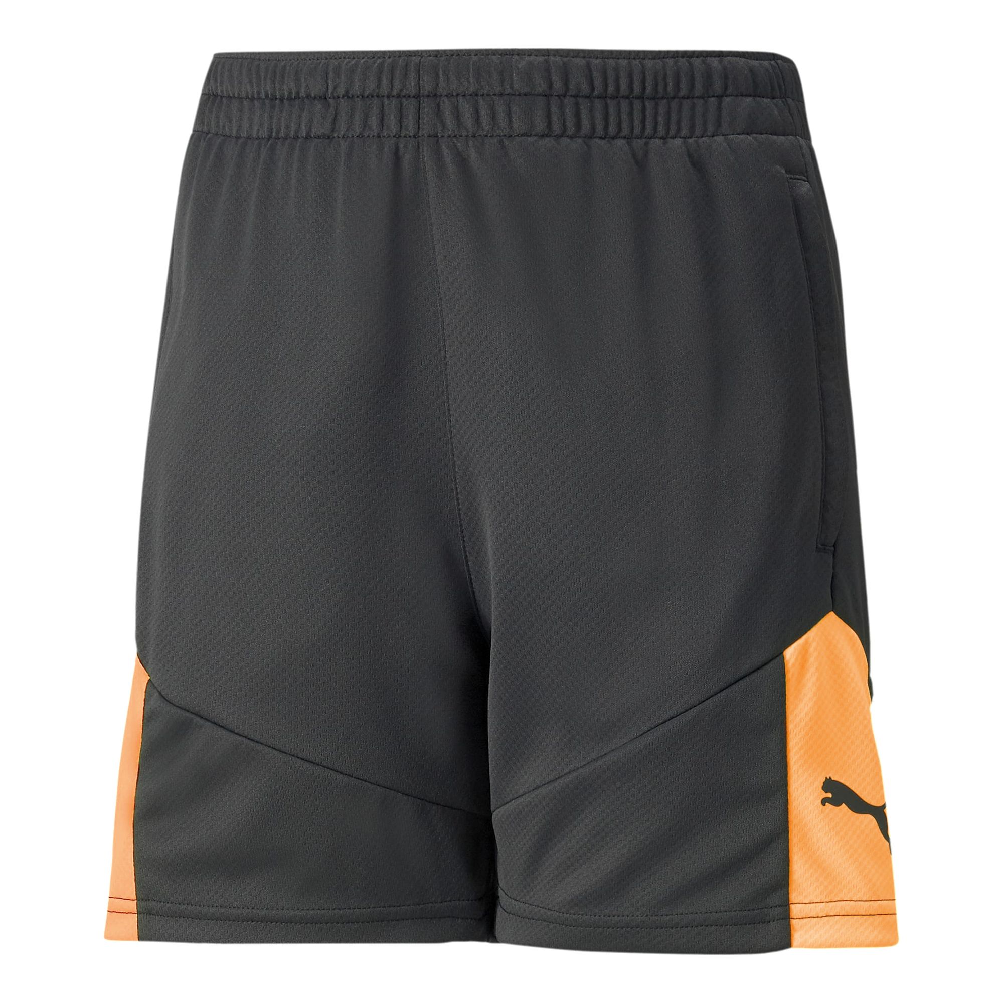 Puma individualFINAL Short Junior
