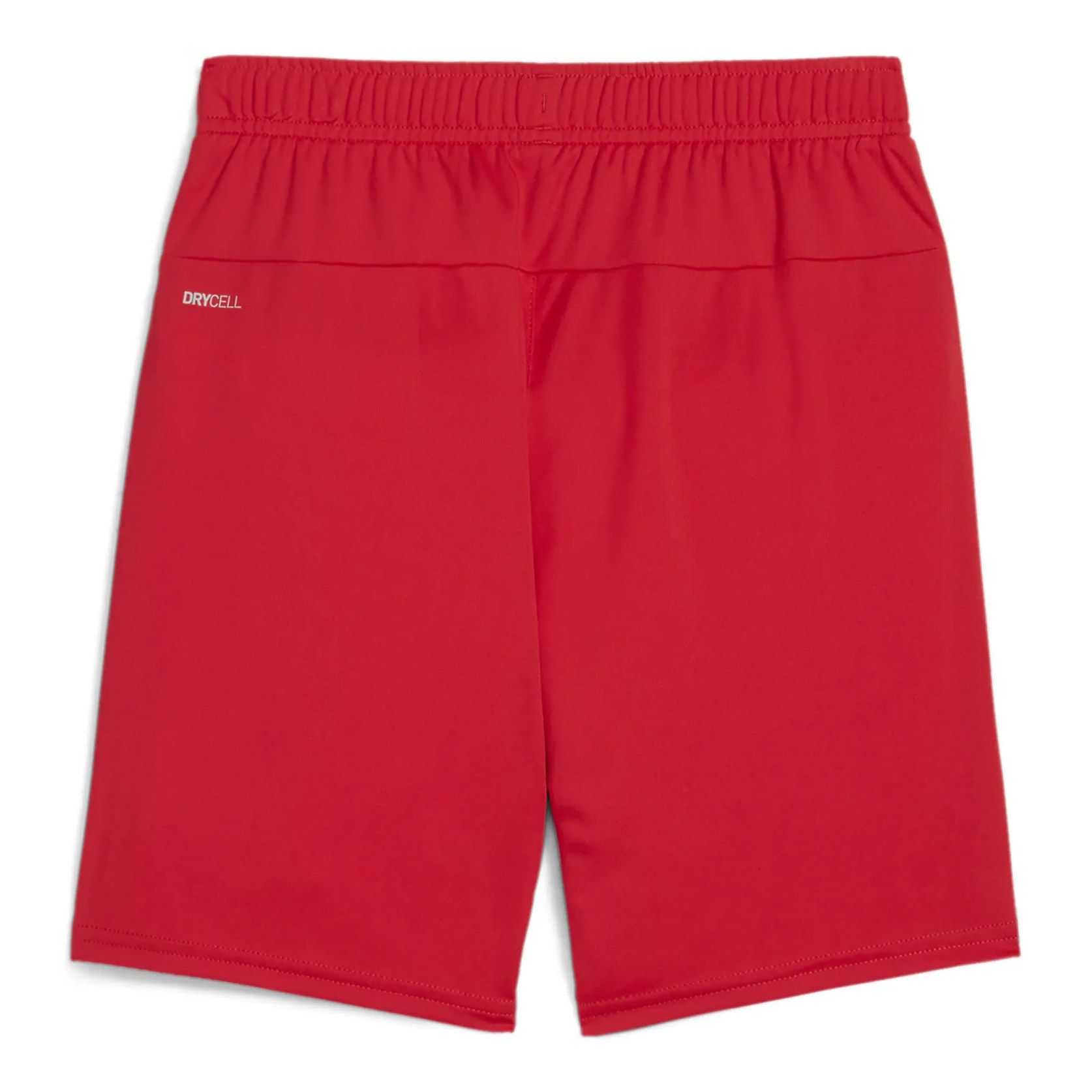 Puma TeamGOAL Short Junior