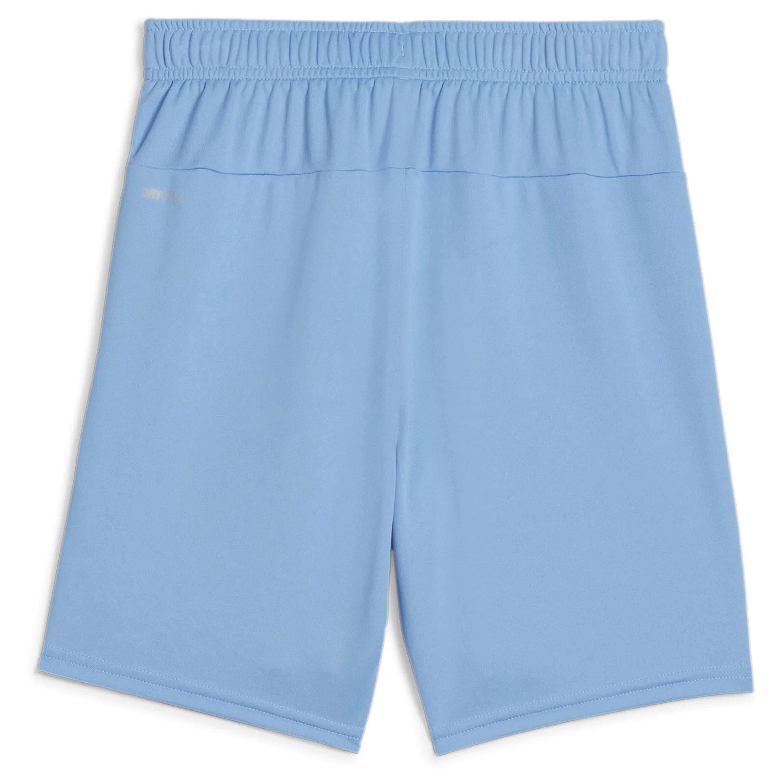 Puma TeamGOAL Short Junior