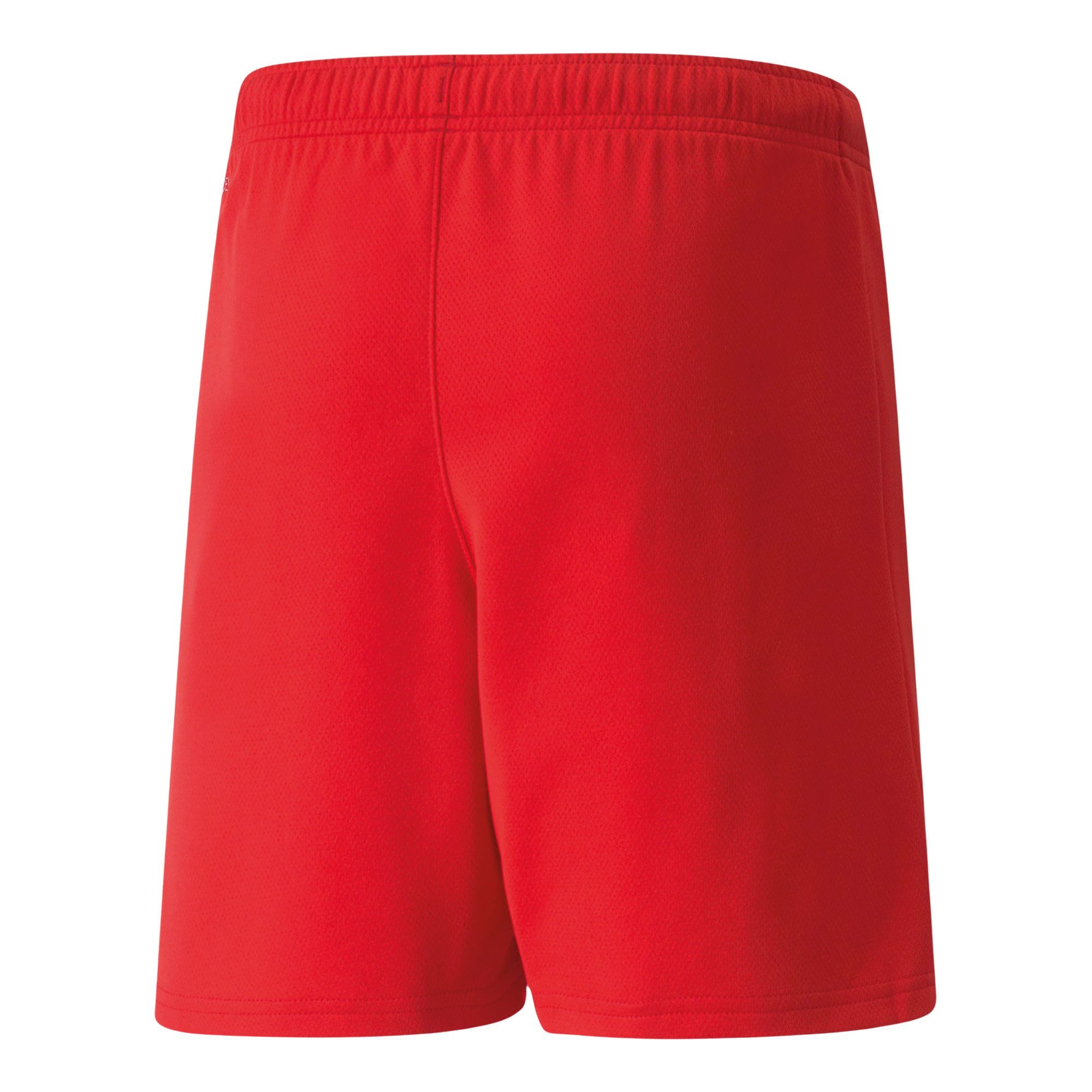 Puma teamRISE Short Junior