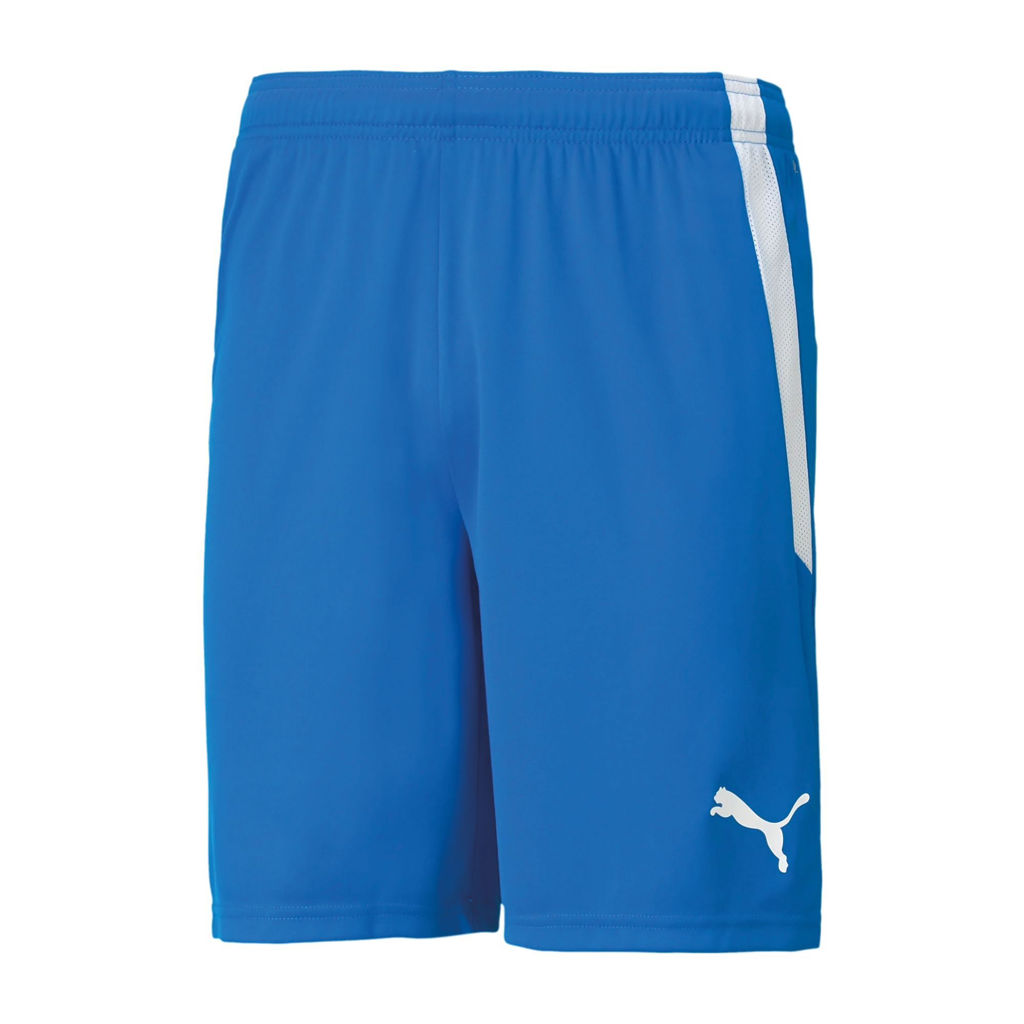 Puma teamLIGA Short Heren