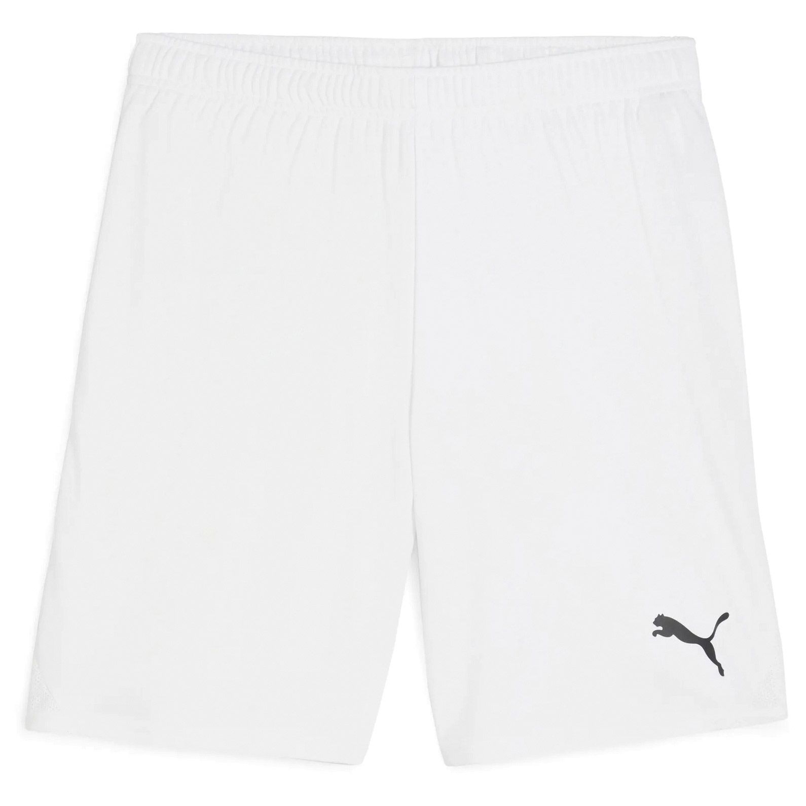 Puma TeamGOAL Short Heren