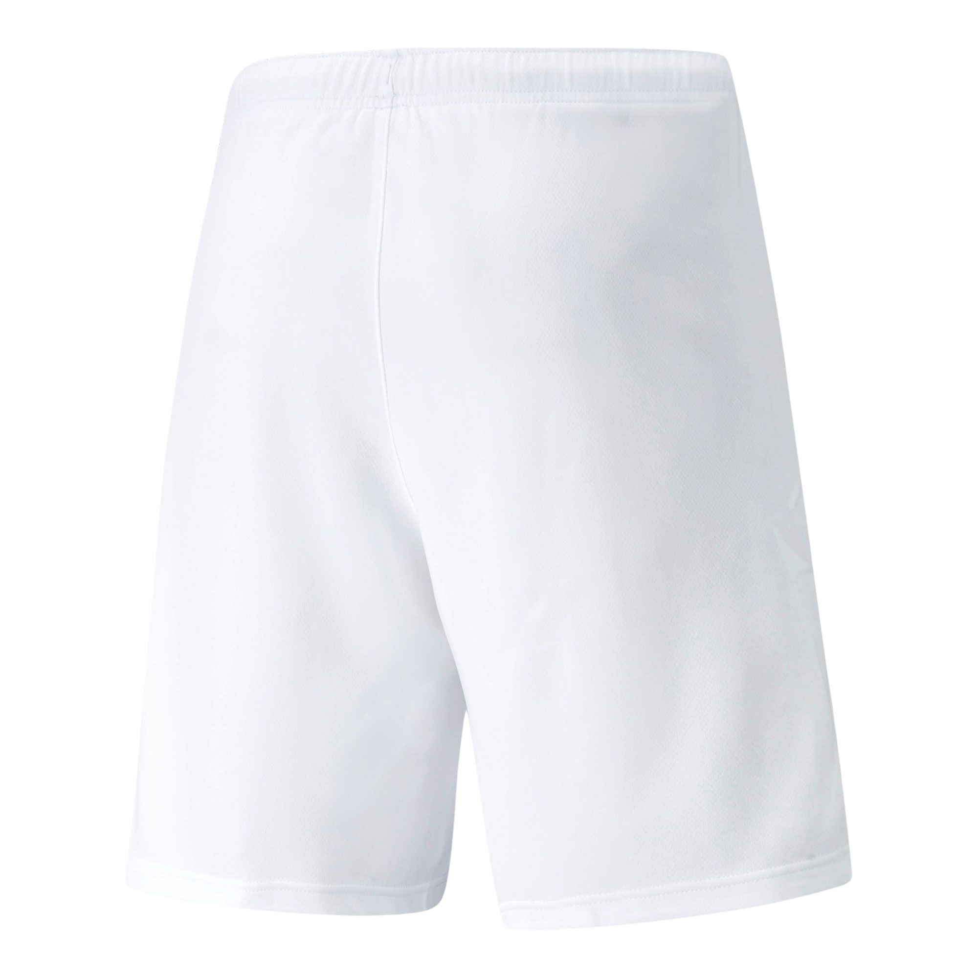 Puma teamRISE Short Heren