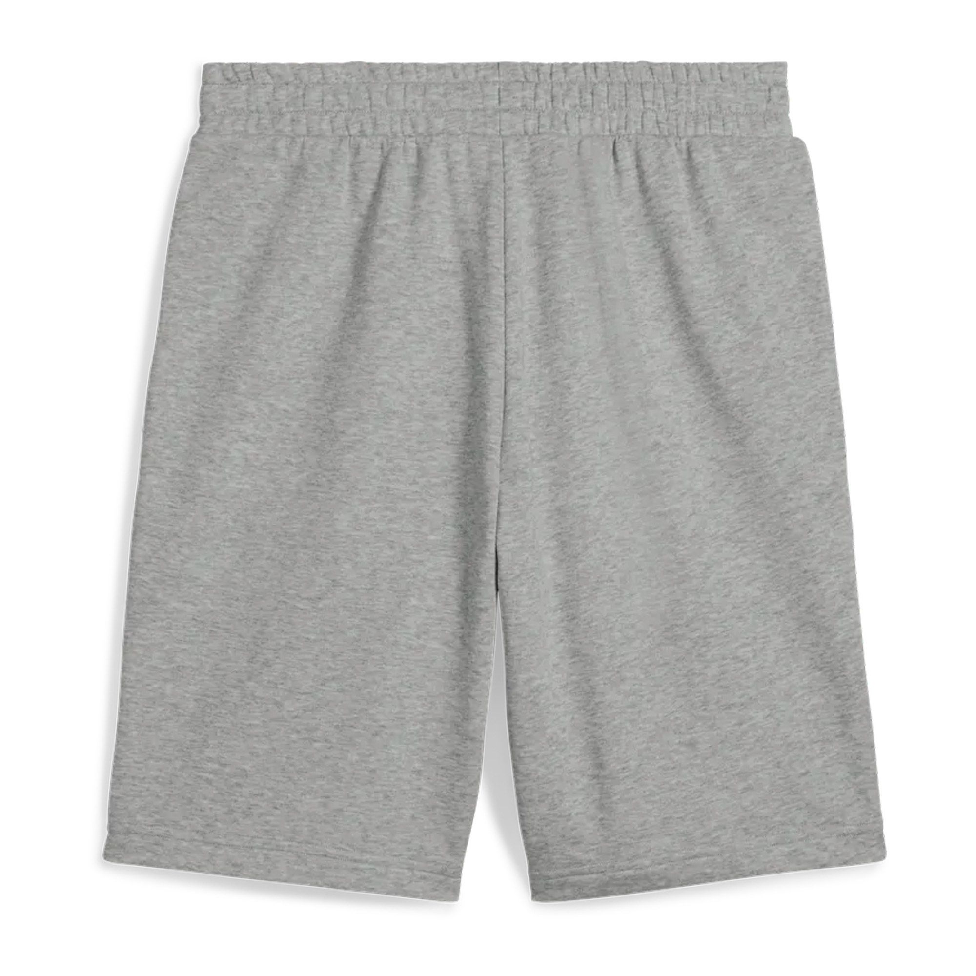 Puma Essentials 2 Color No. 1 Logo Short Hommes