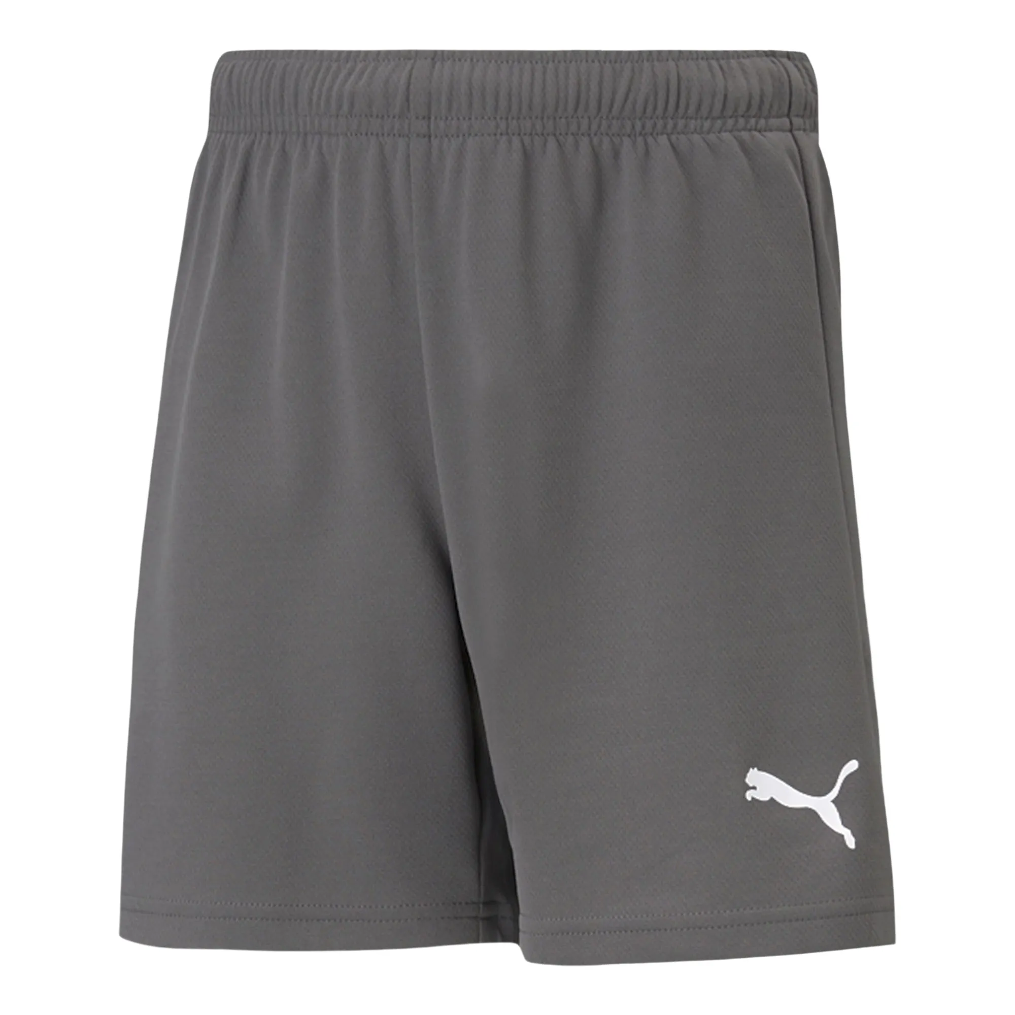 Puma teamRISE Short Junior