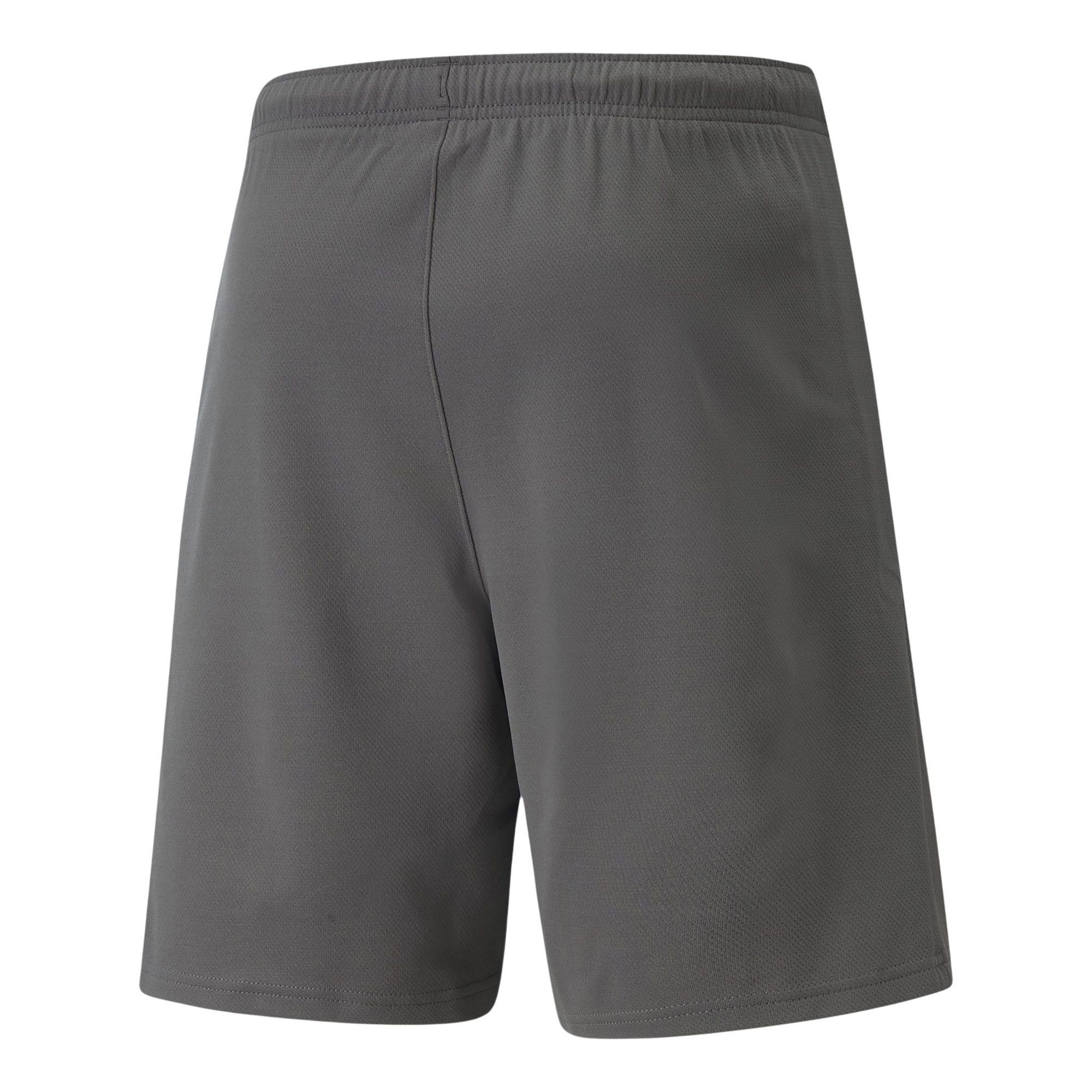 Puma teamRISE Short Heren