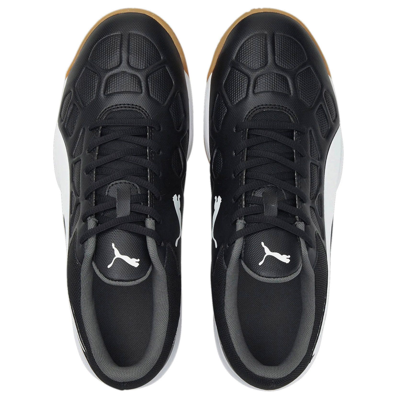 Puma Tenaz Indoor Shoes Senior | Plutosport