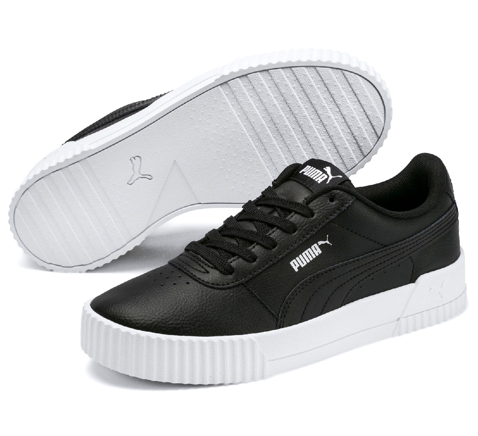 Puma Carina L