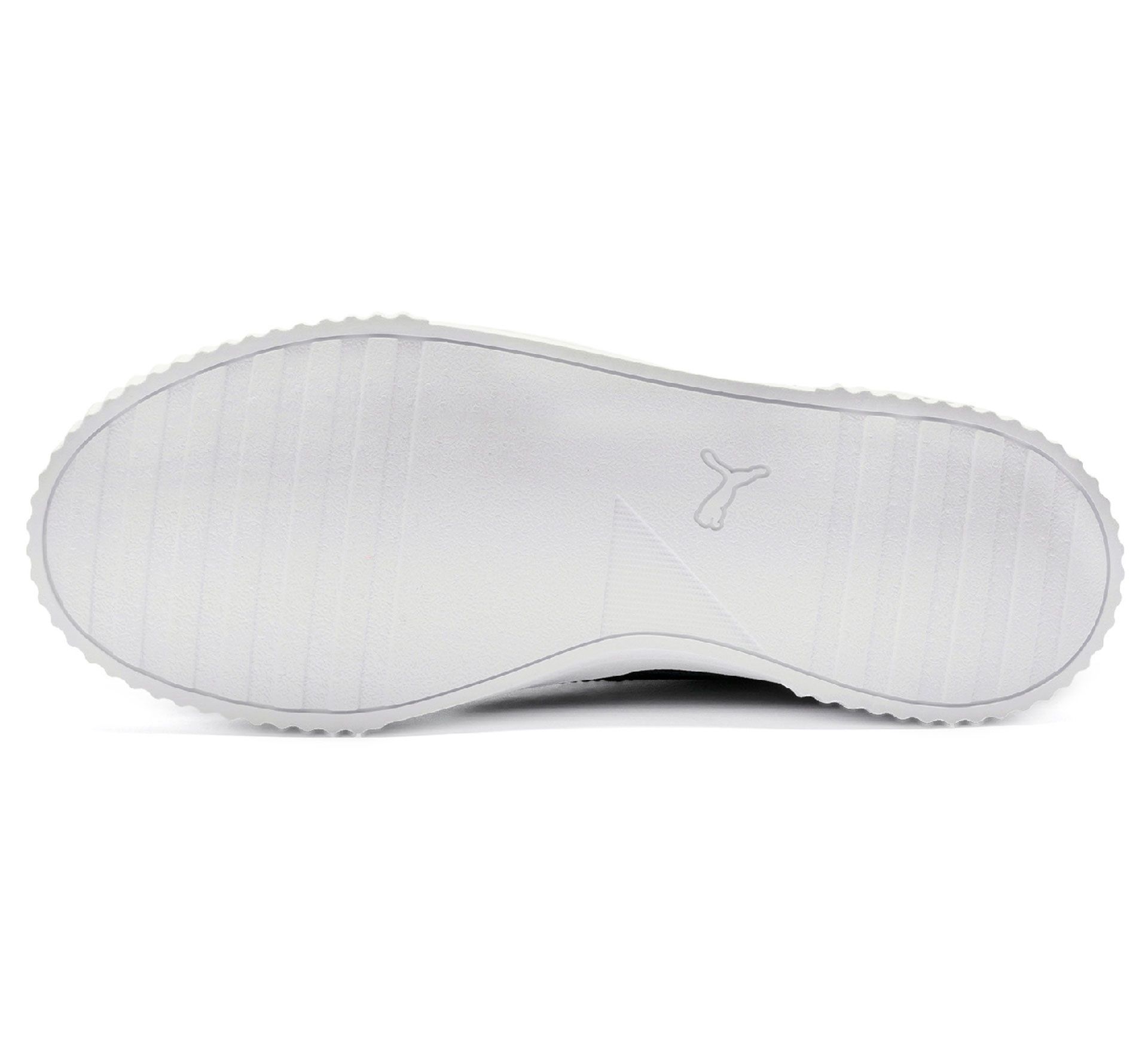 Puma Carina L