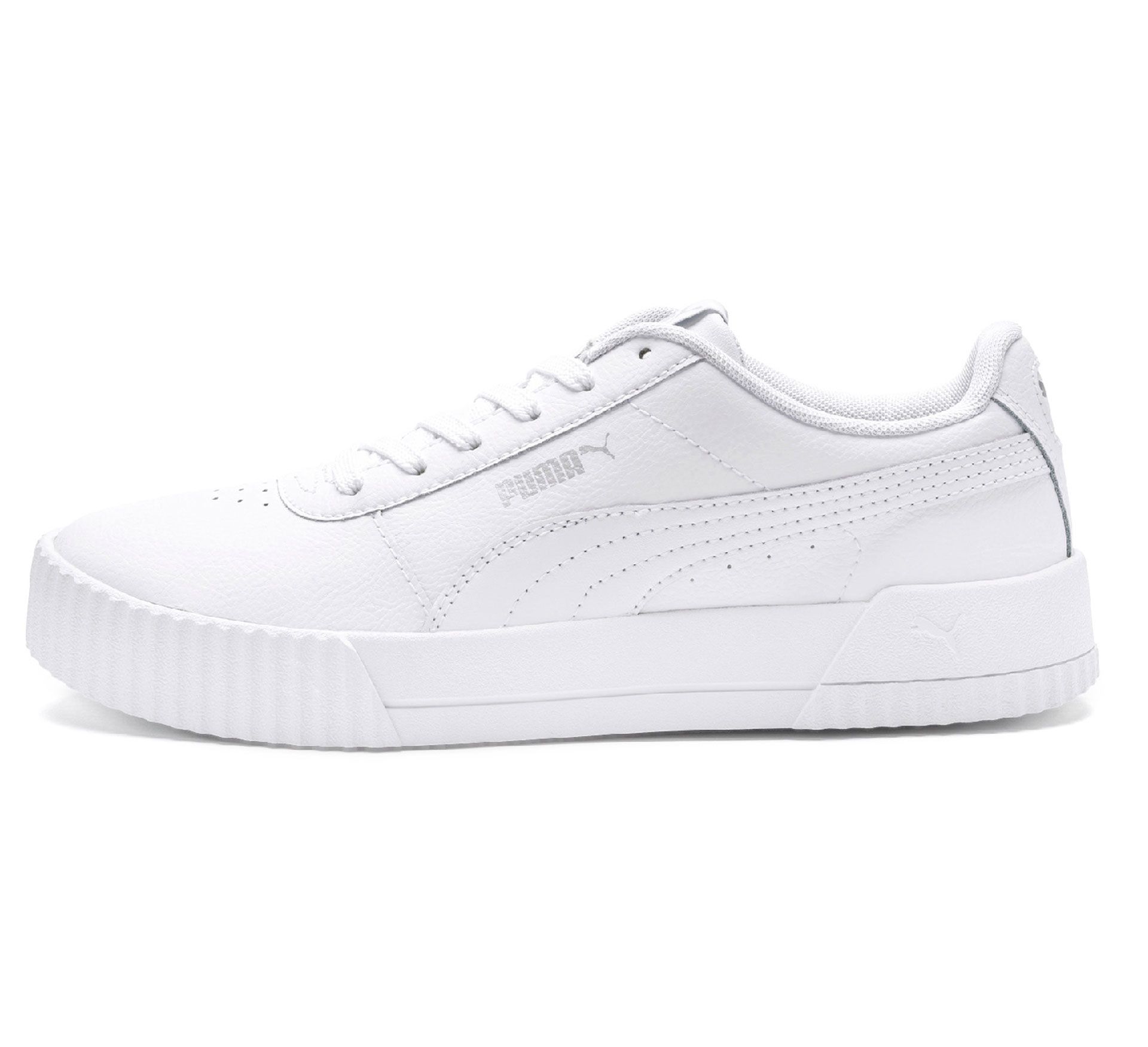 Puma Carina L