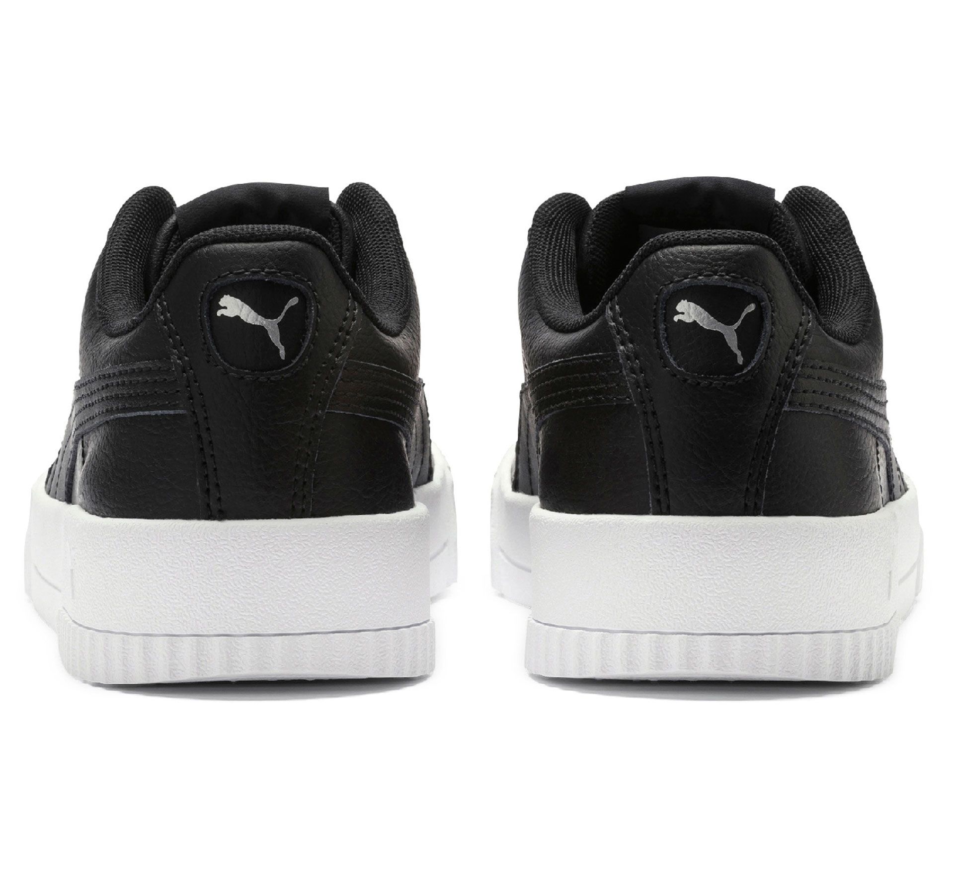 Puma Carina L