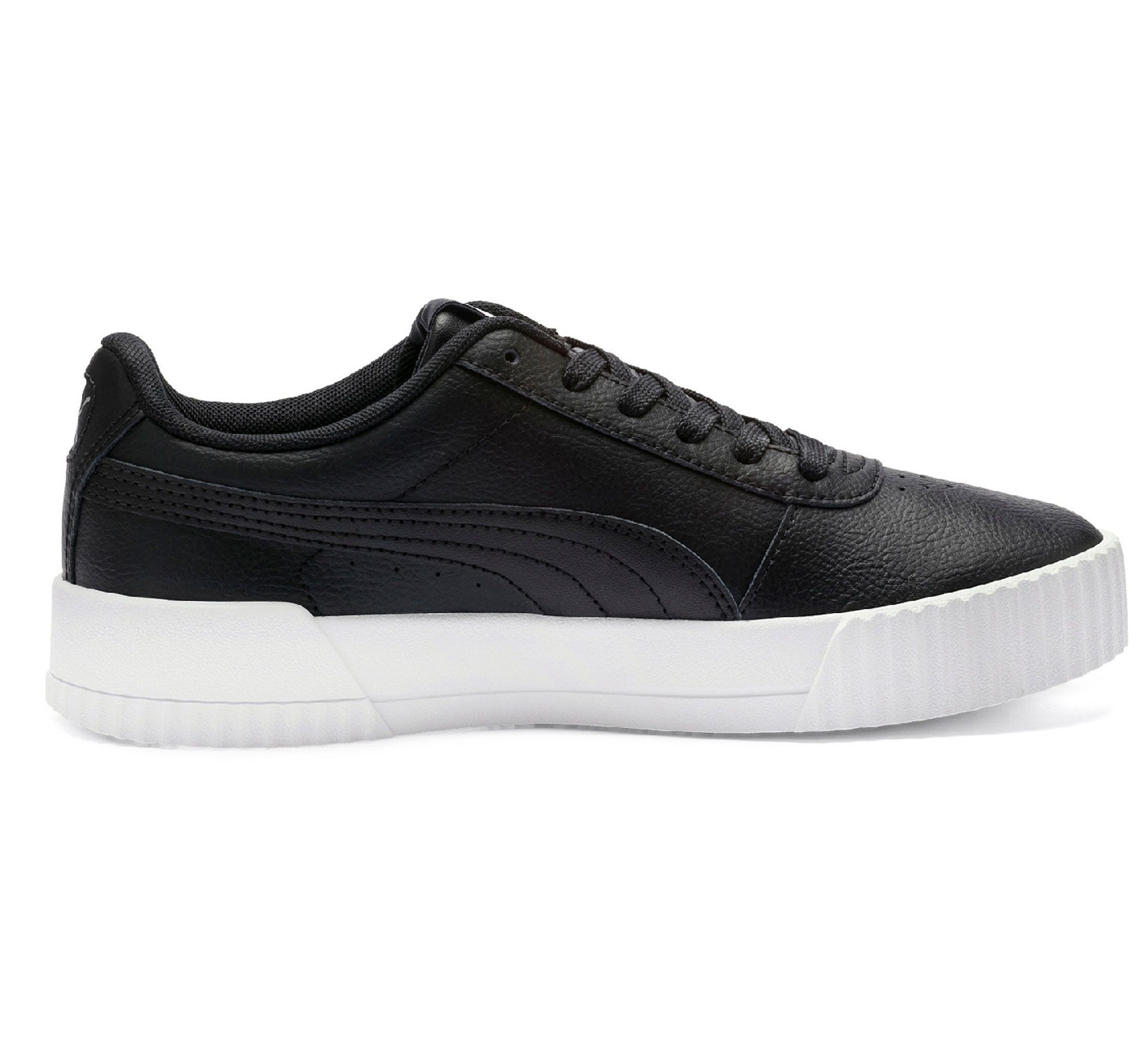Puma Carina L