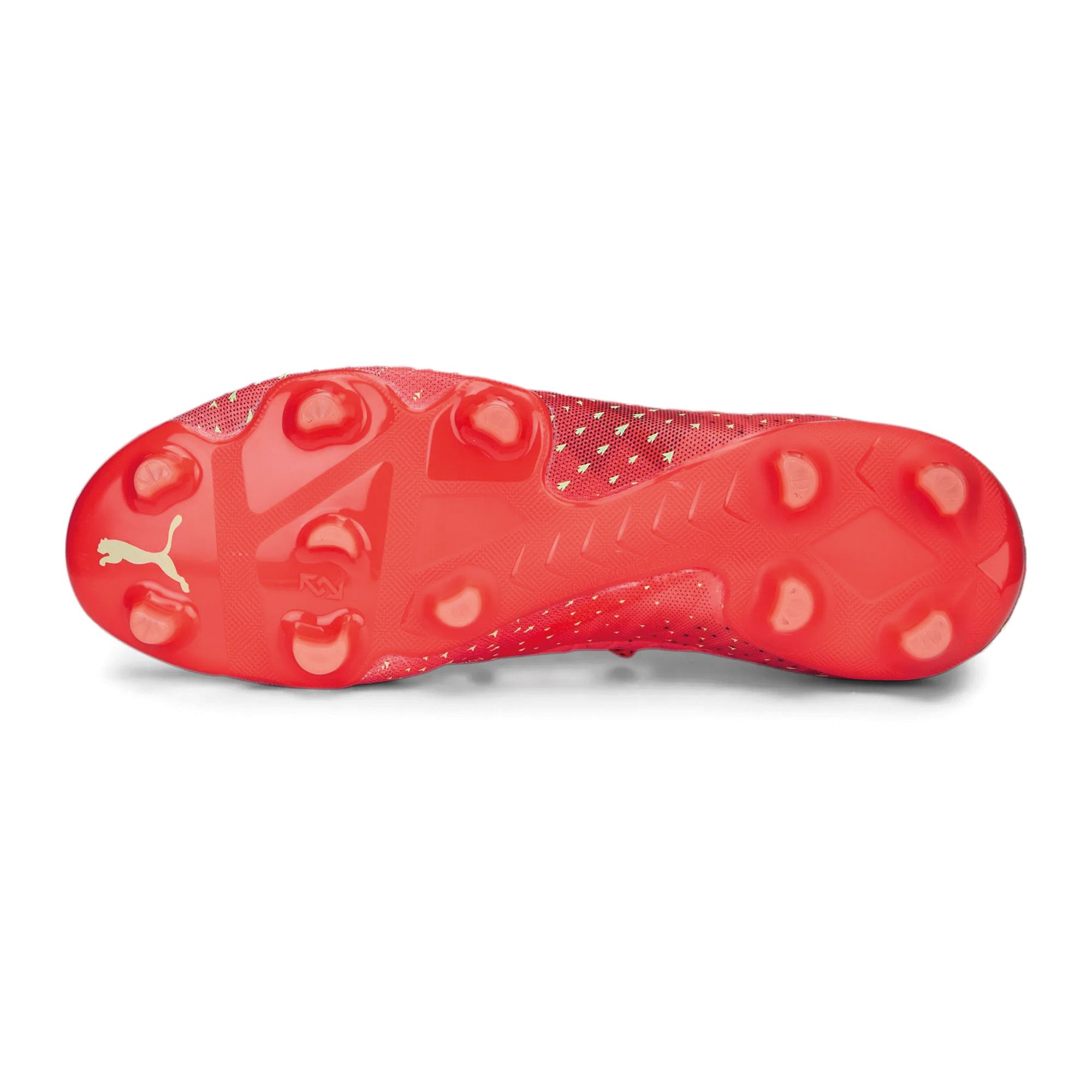 Puma Future 2.4 FG/AG Voetbalschoenen Senior