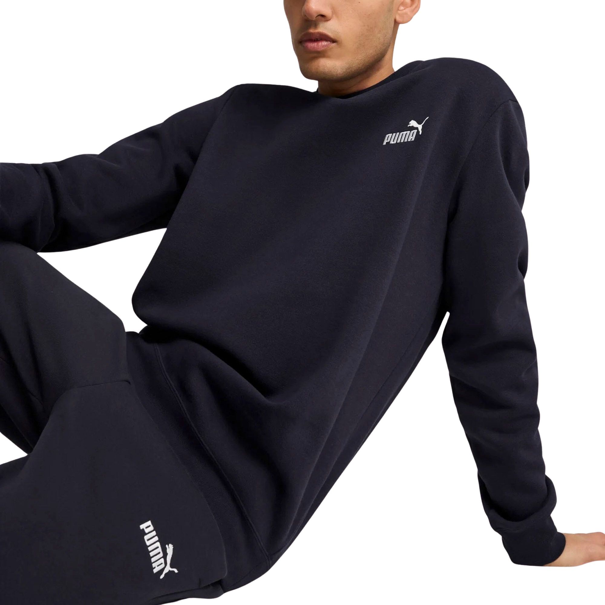 Puma Essentials Small No. 1 Logo Sweater Heren