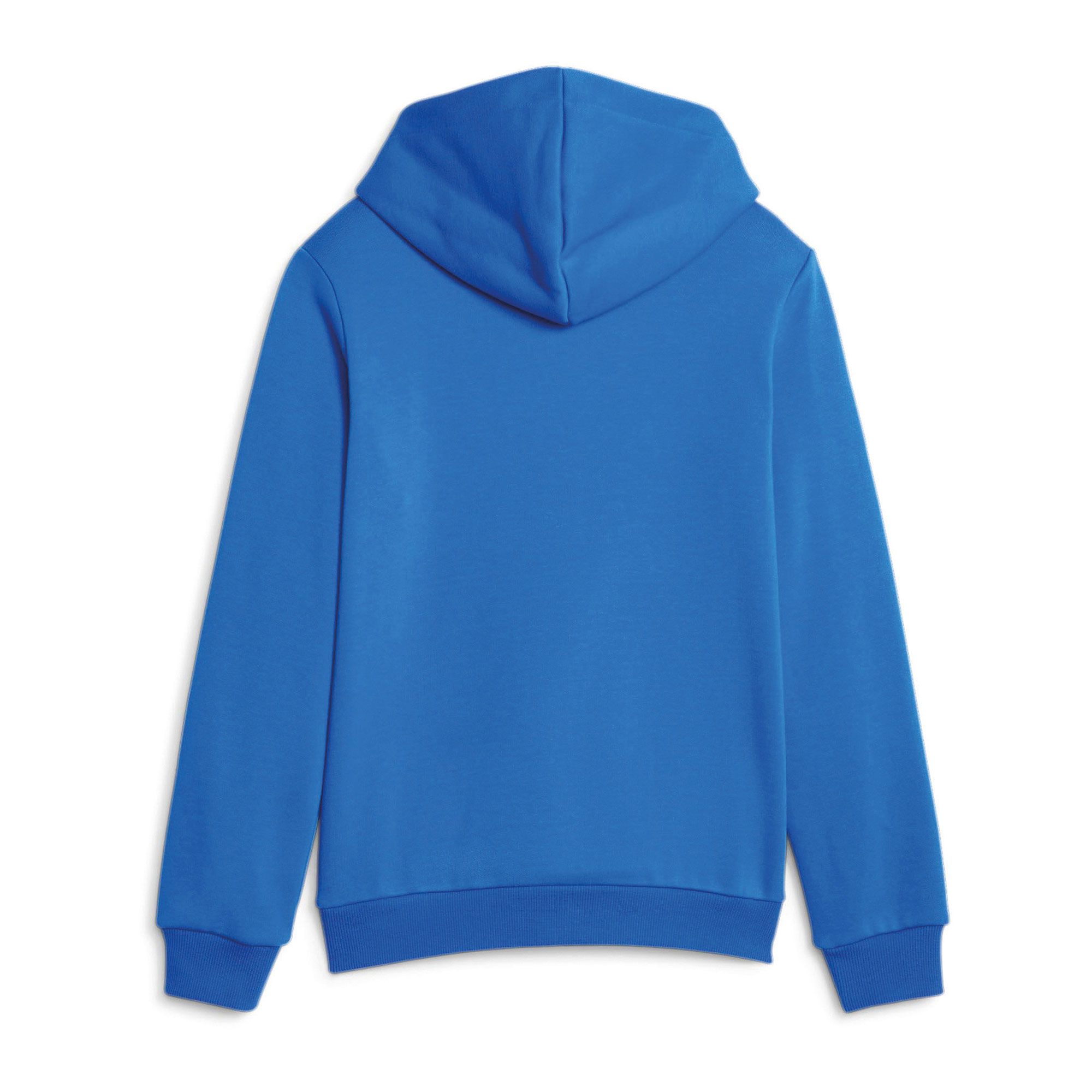 Puma Essential Hoodie Junior