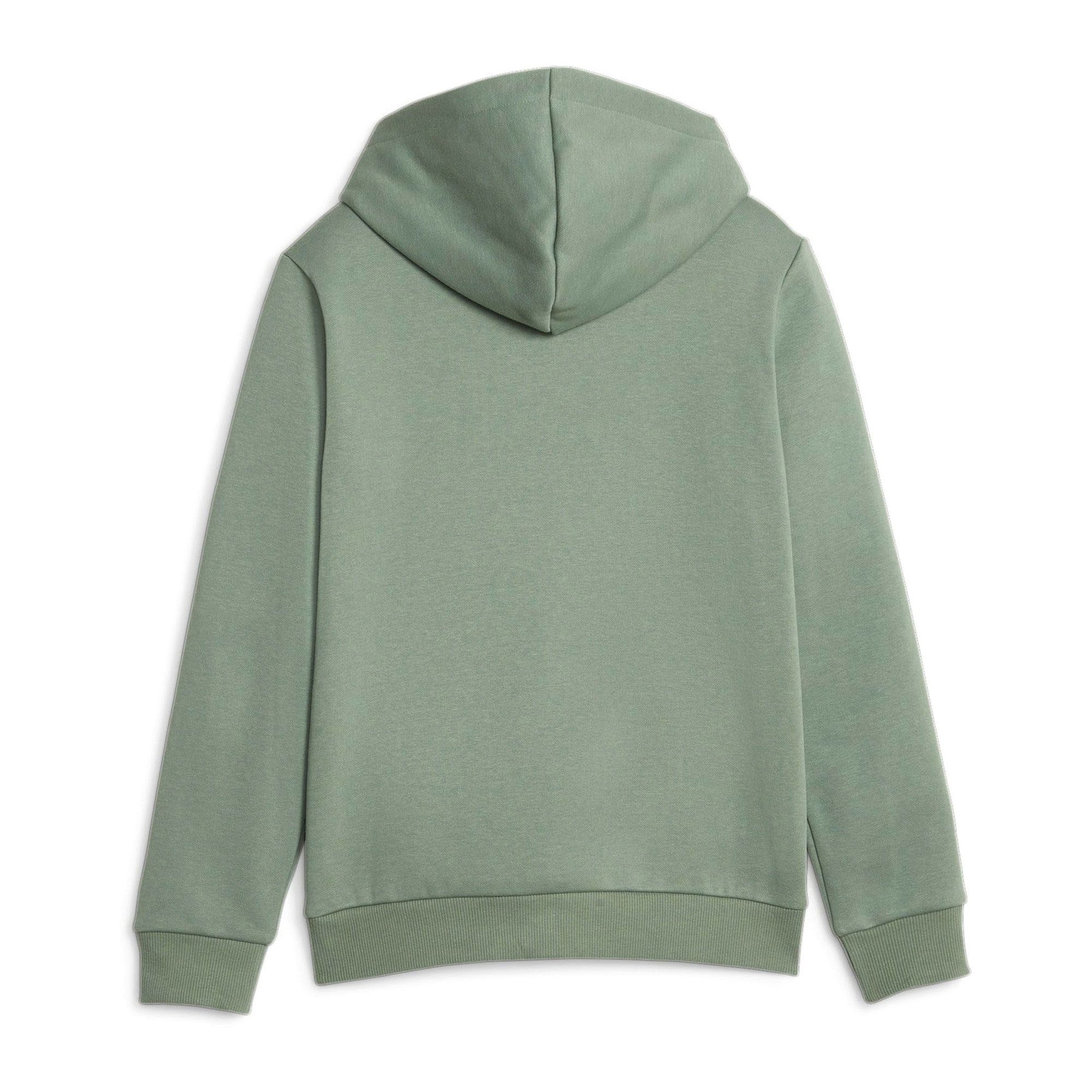 Puma Essential Hoodie Junior