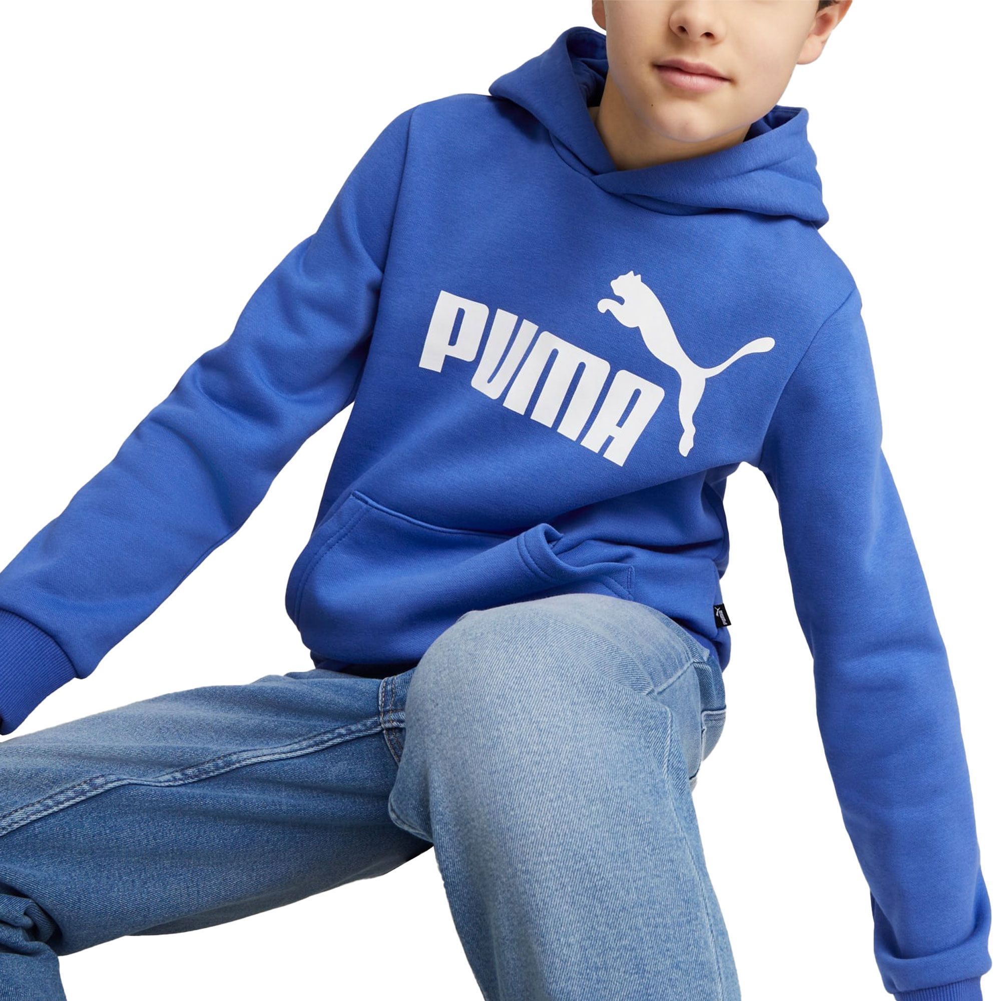 Puma Essential Hoodie Junior