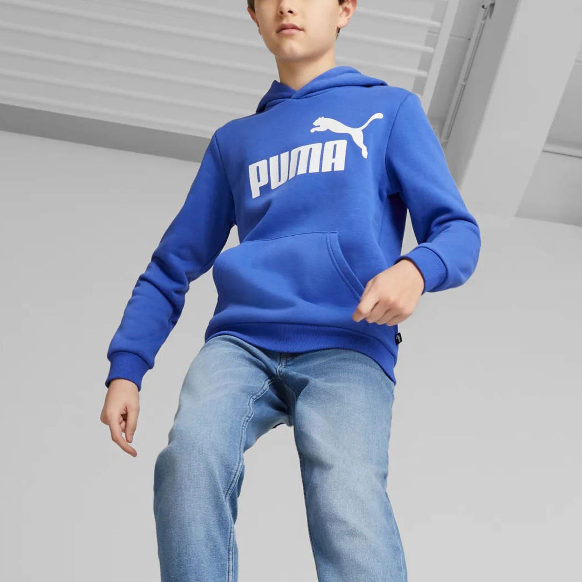 Puma Essential Hoodie Junior