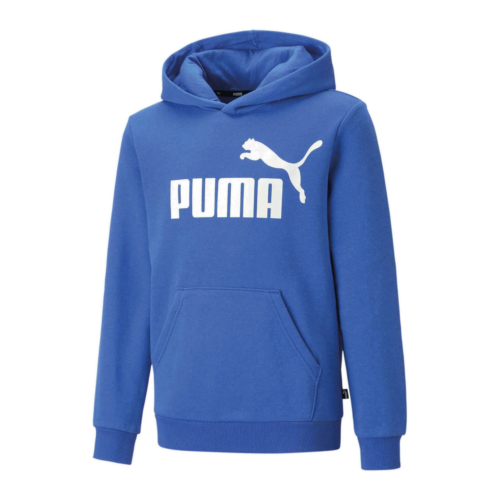 Puma Essential Hoodie Junior