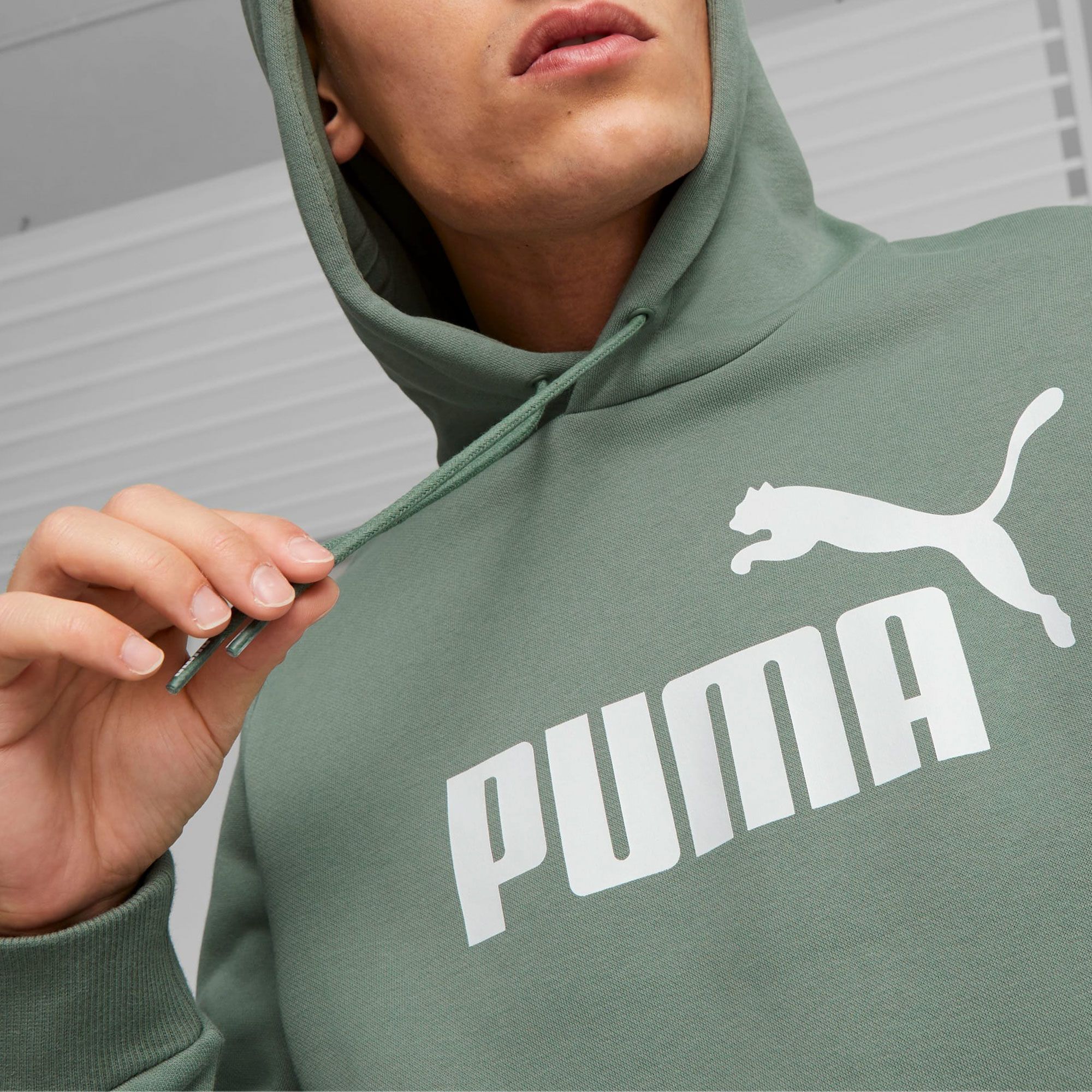 Puma Essential Hoodie Heren