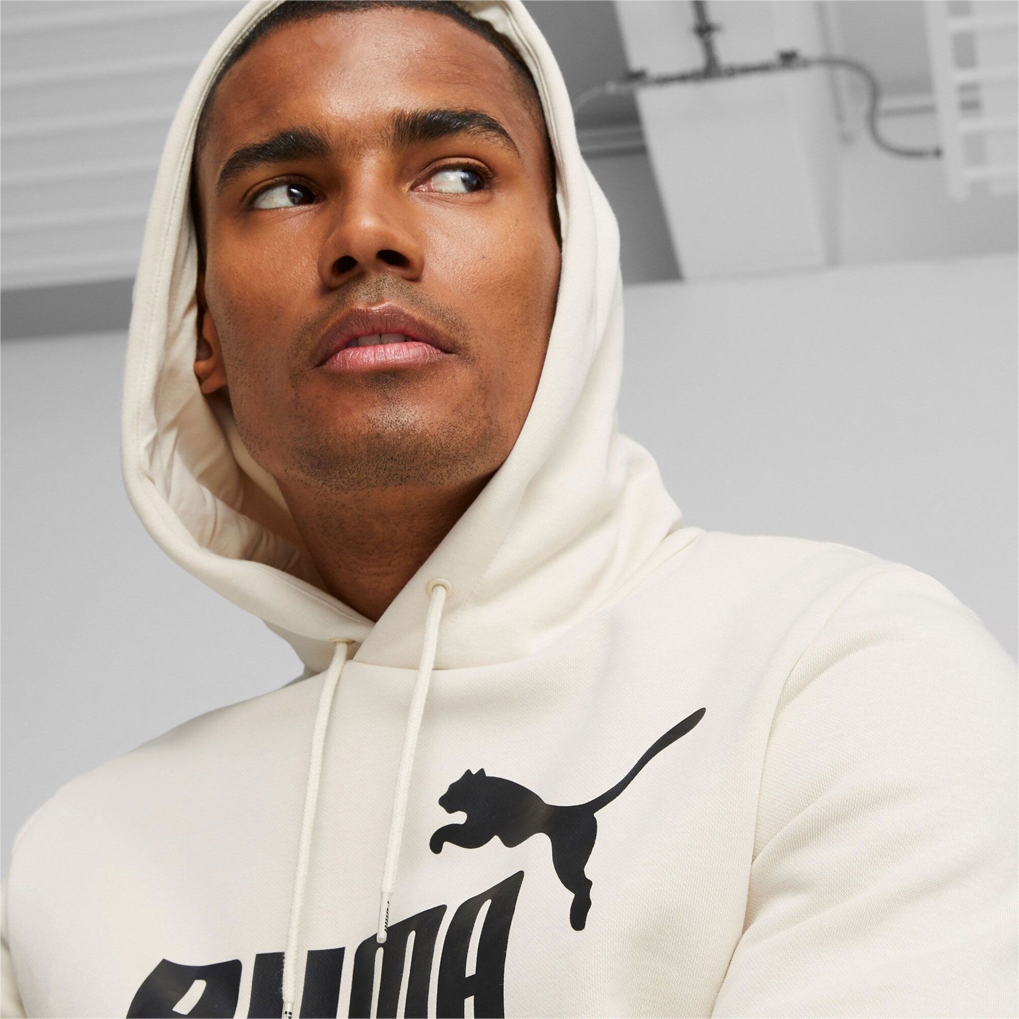 Puma Essential Hoodie Heren