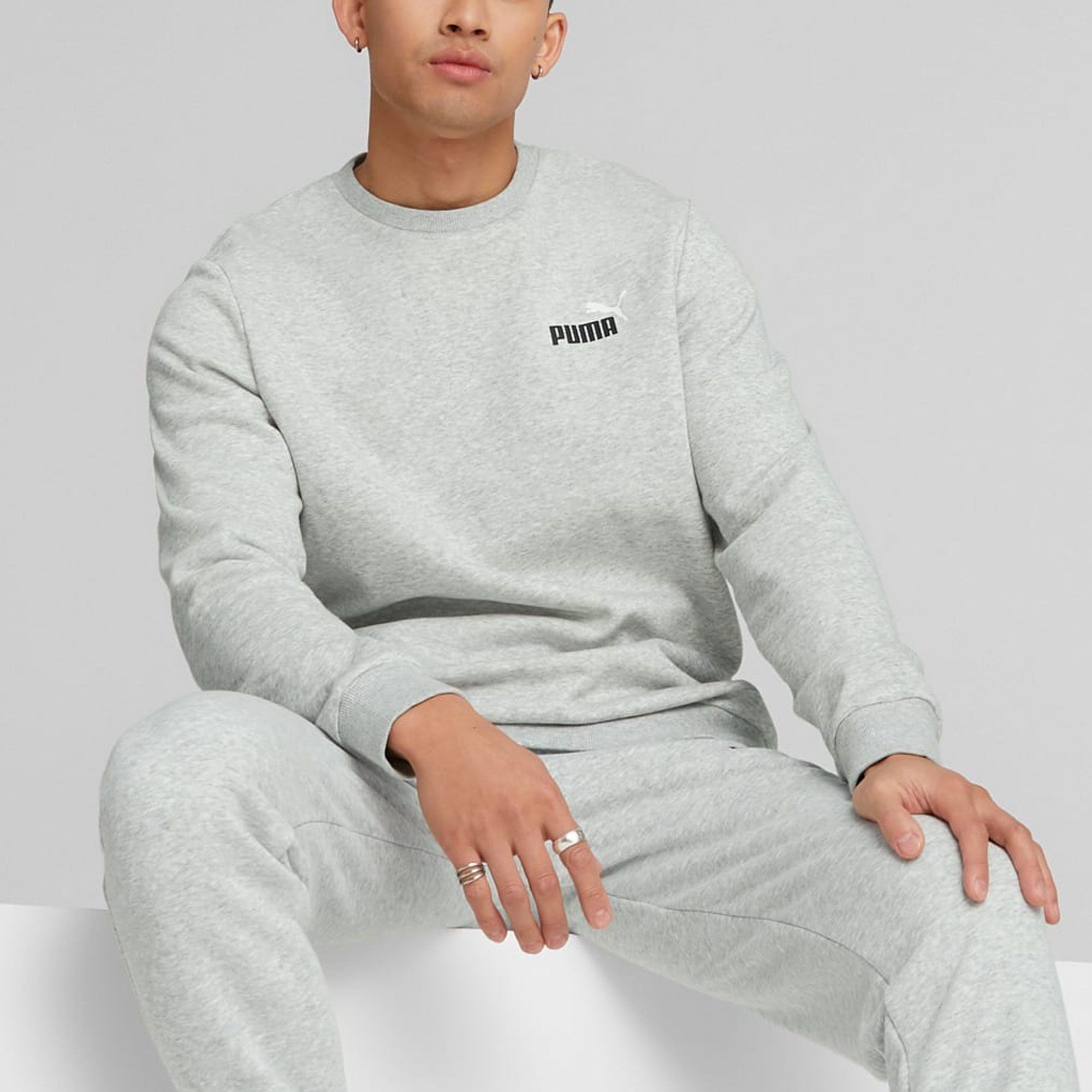 Puma Essentials+ 2 Small Logo Crew Sweater Men