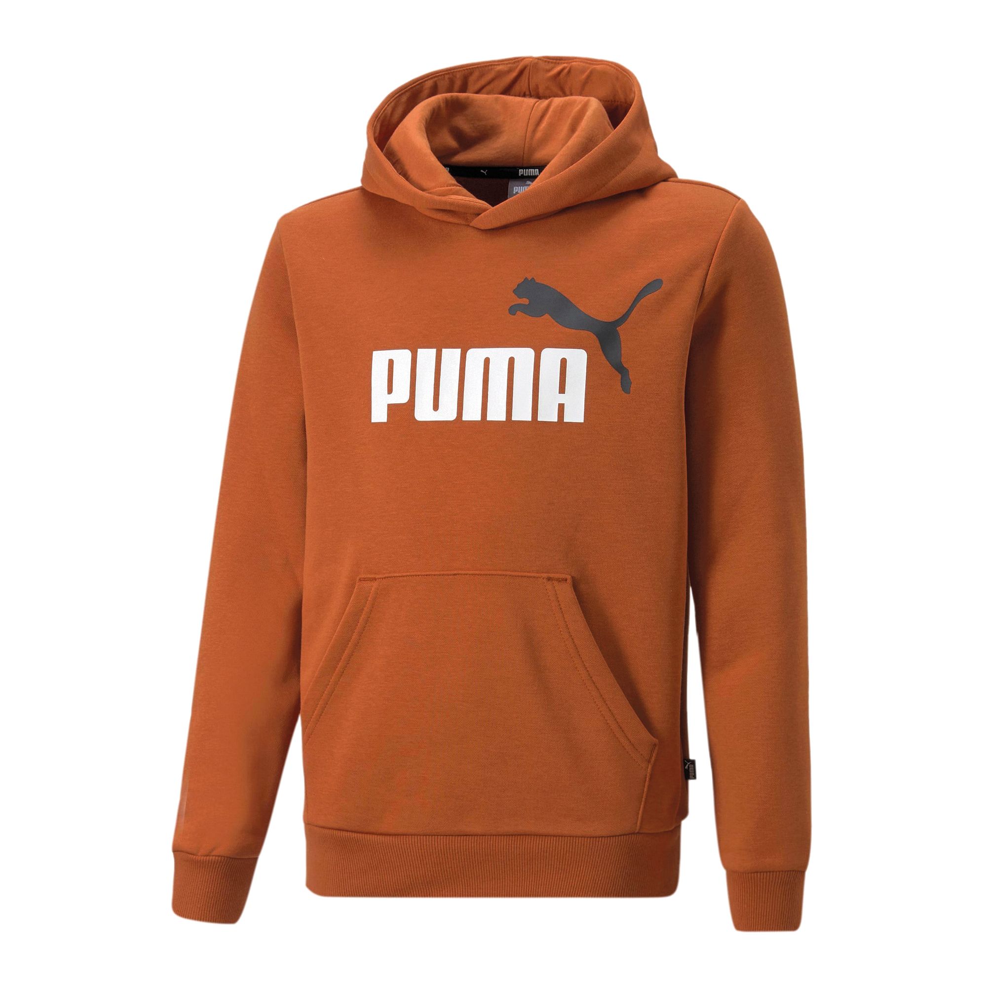 Puma Essential Hoodie Junior