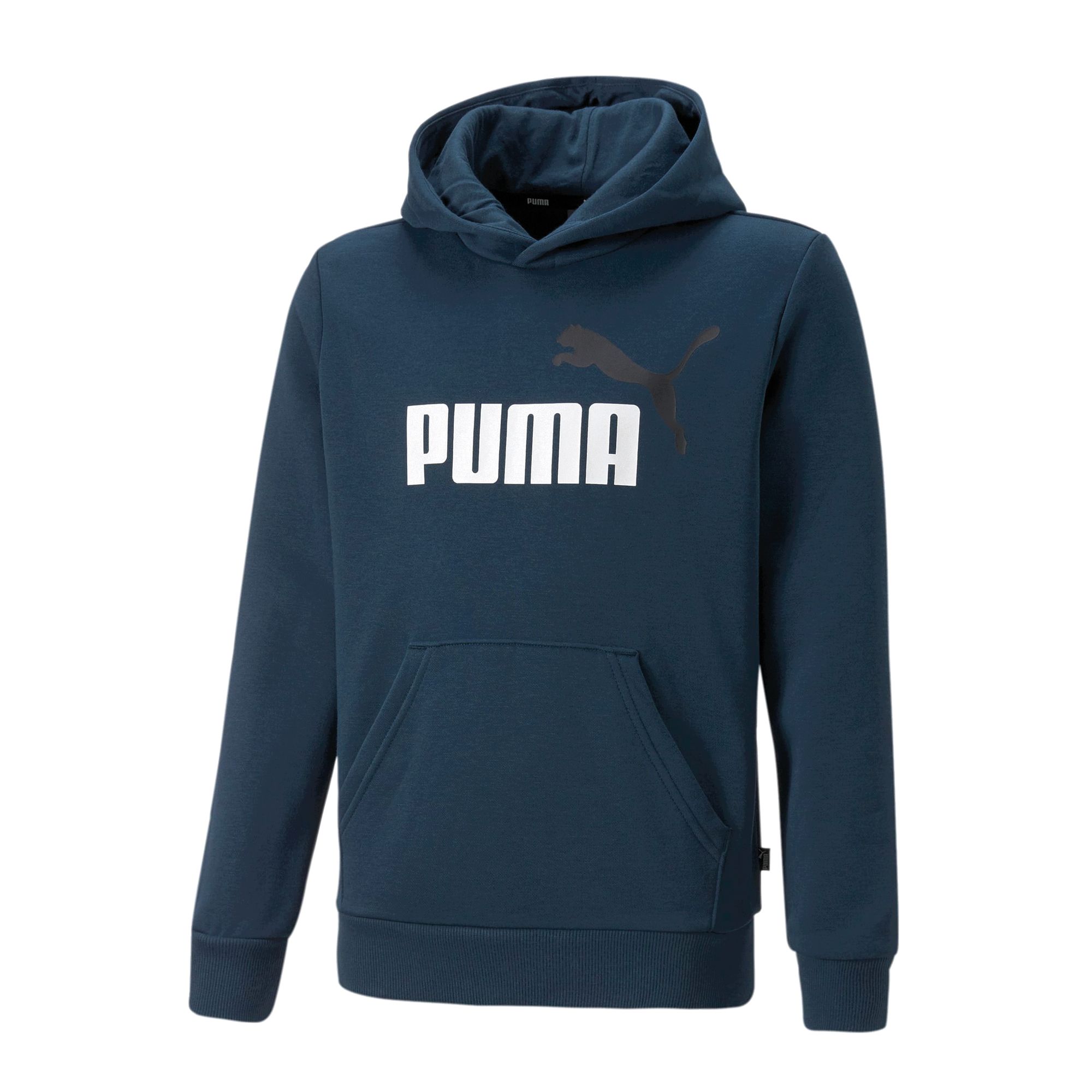 Puma Essential Hoodie Junior