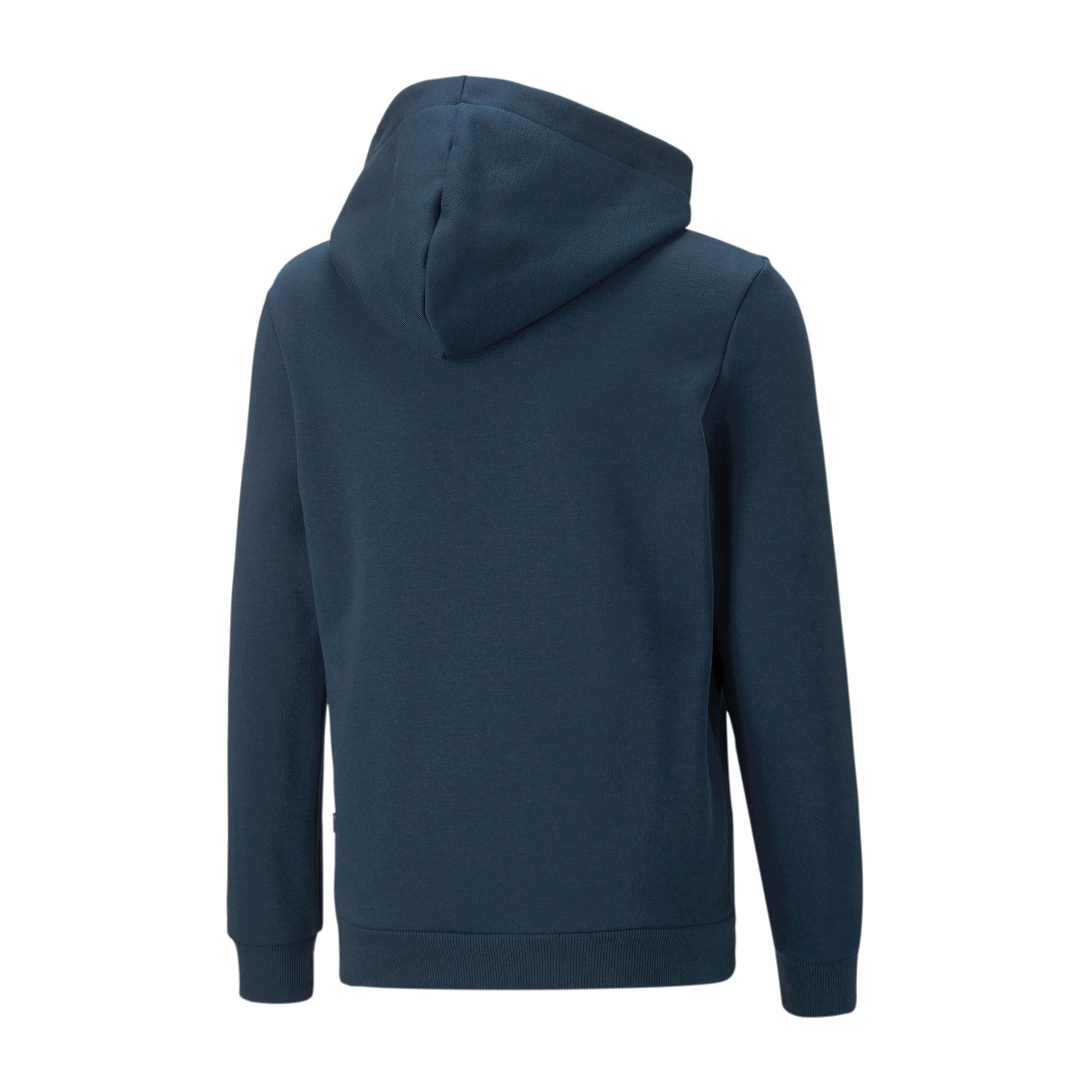 Puma Essential Hoodie Junior