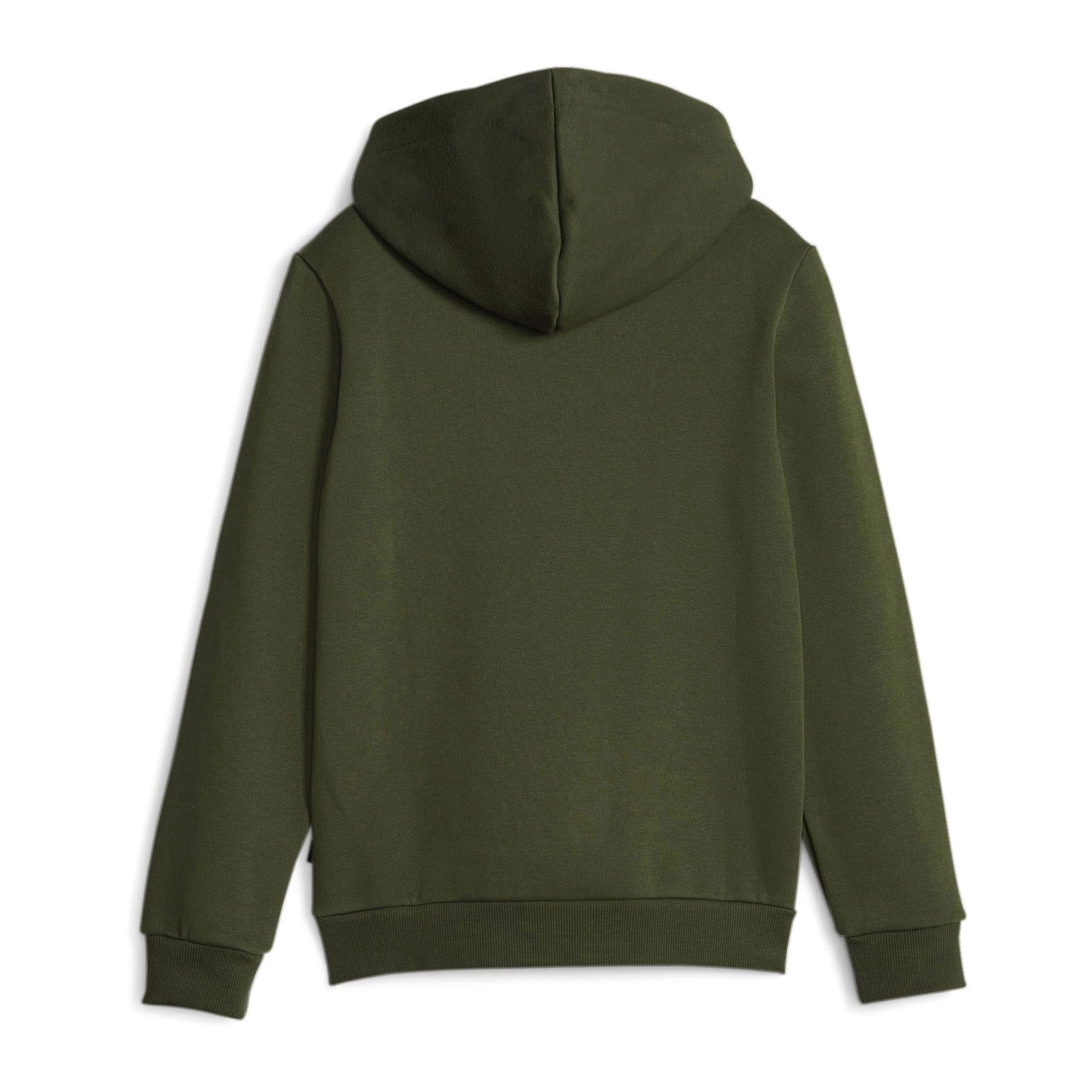 Puma Essential Hoodie Junior