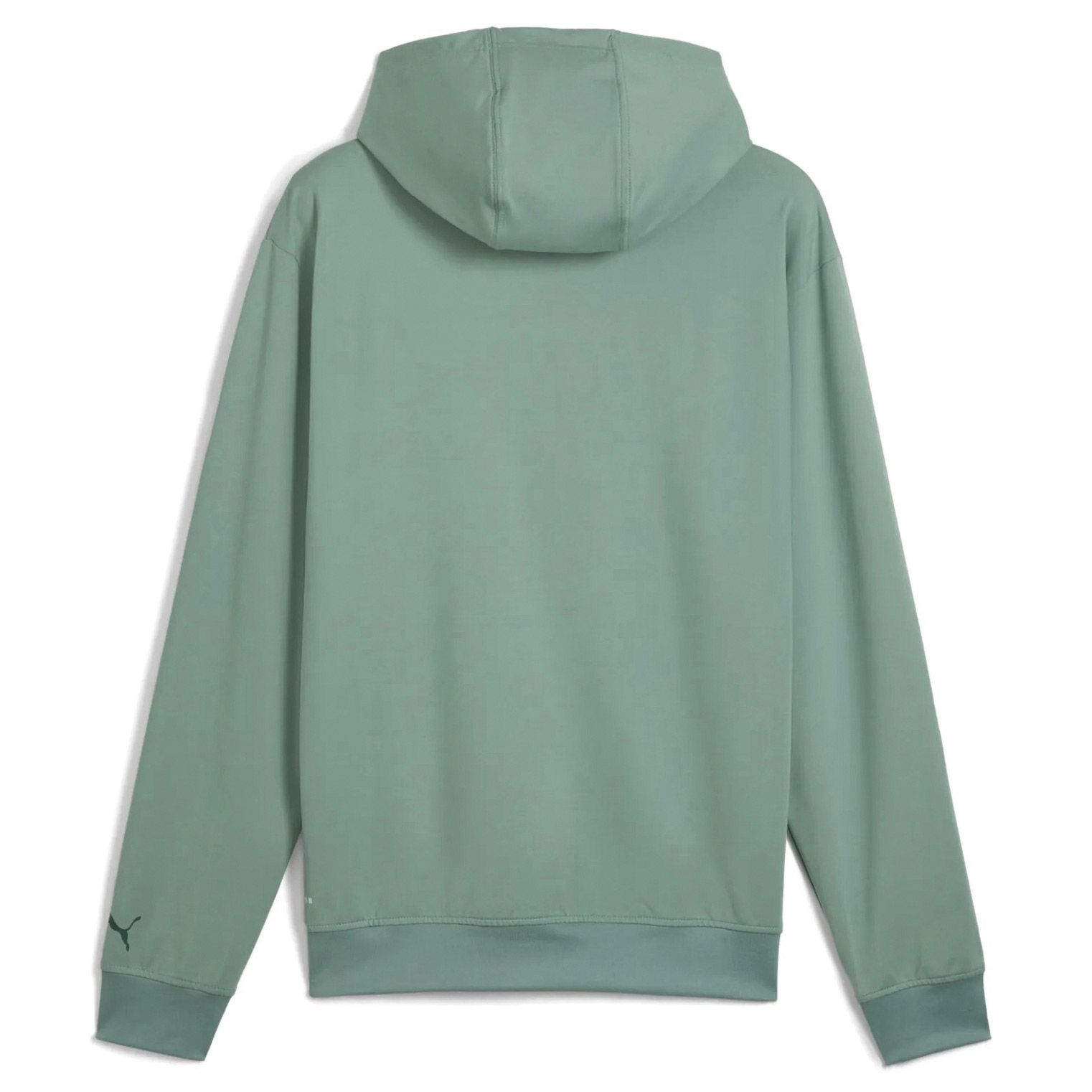 Puma Cloudspun Branded Hoodie Heren