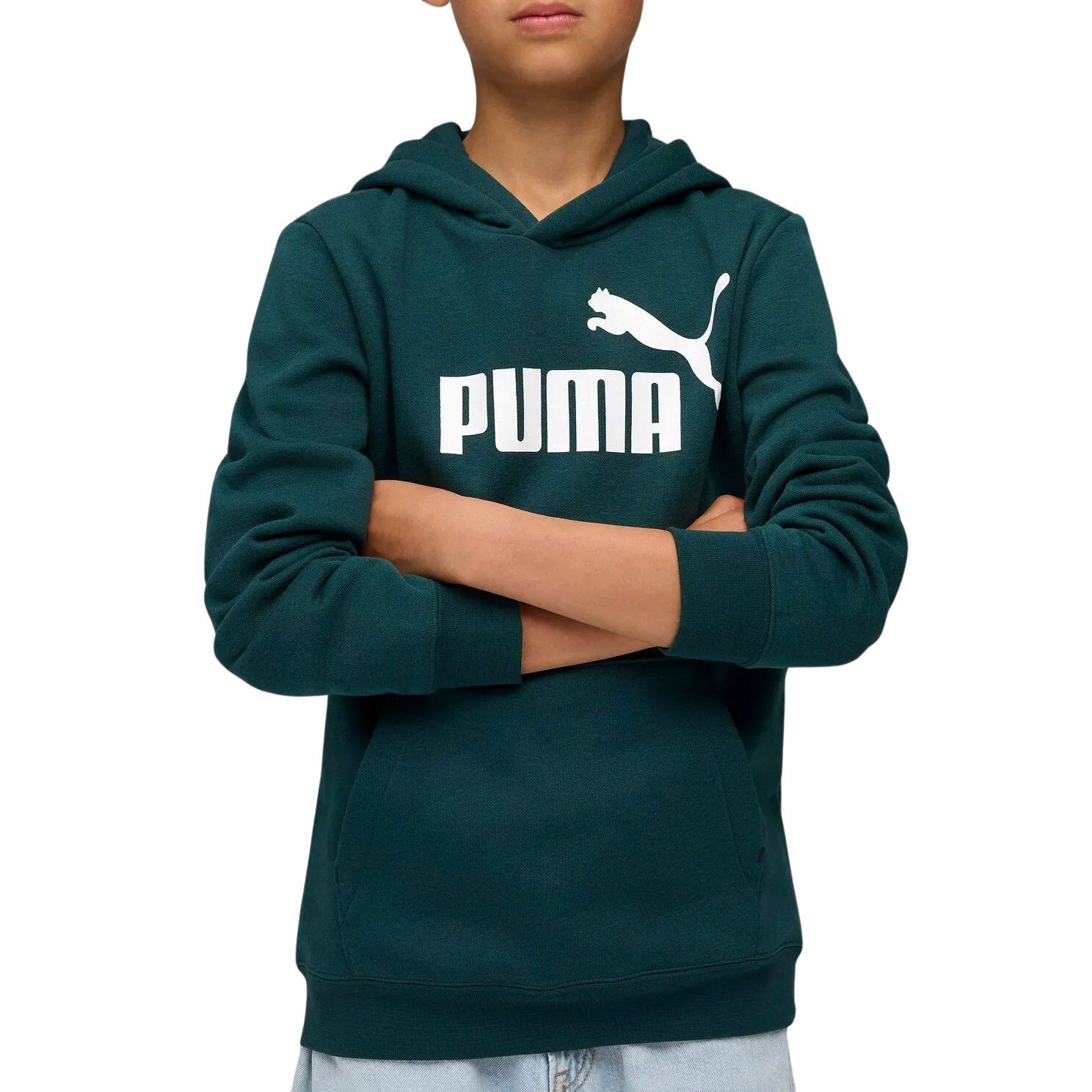Puma ESS No. 1 Logo Fleece Hoodie Junior