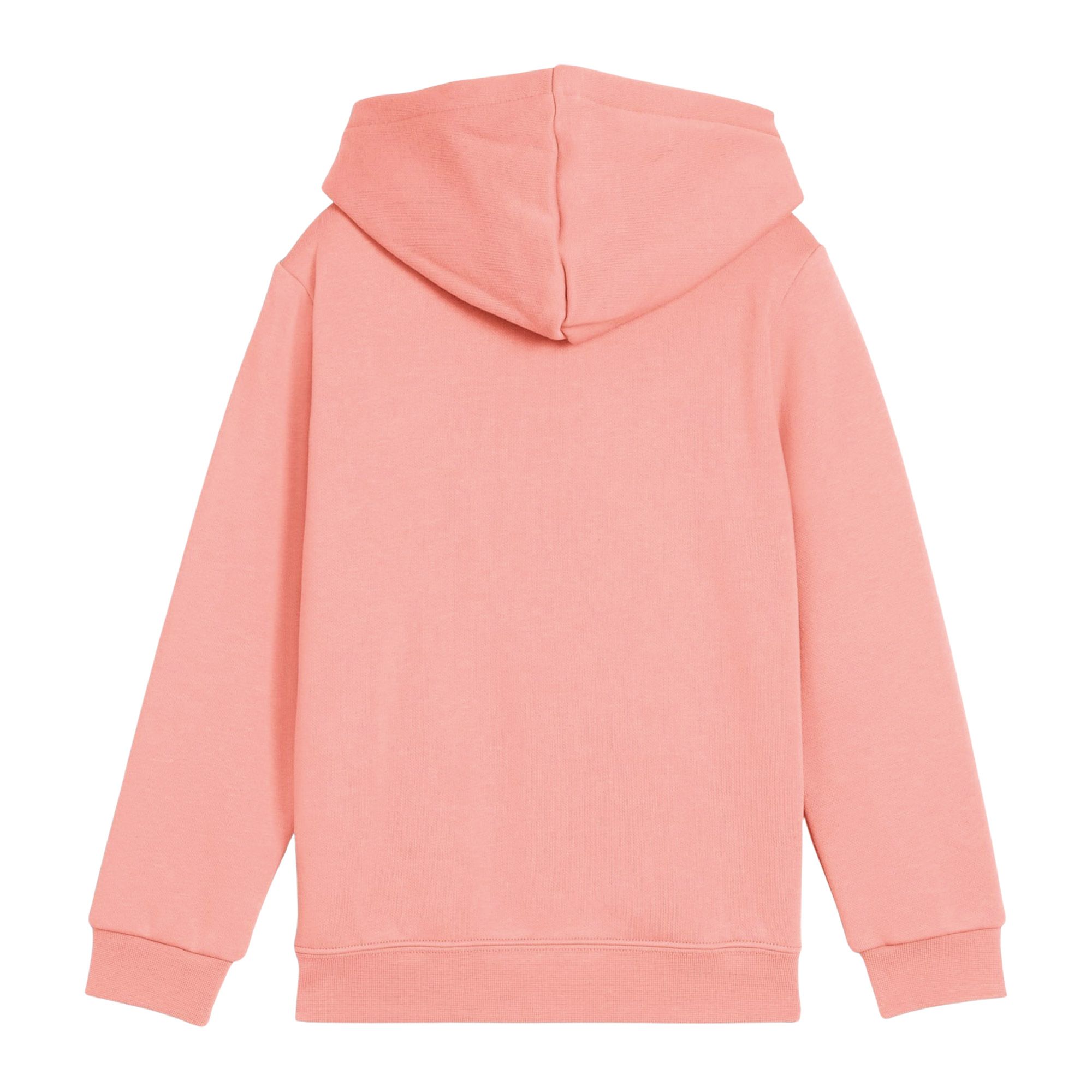 Puma ESS No. 1 Logo Fleece Hoodie Junior