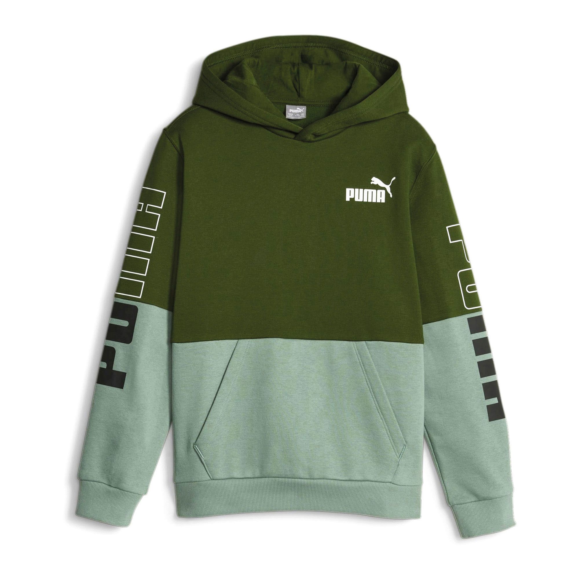 Puma Power Colorblock Hoodie Junior