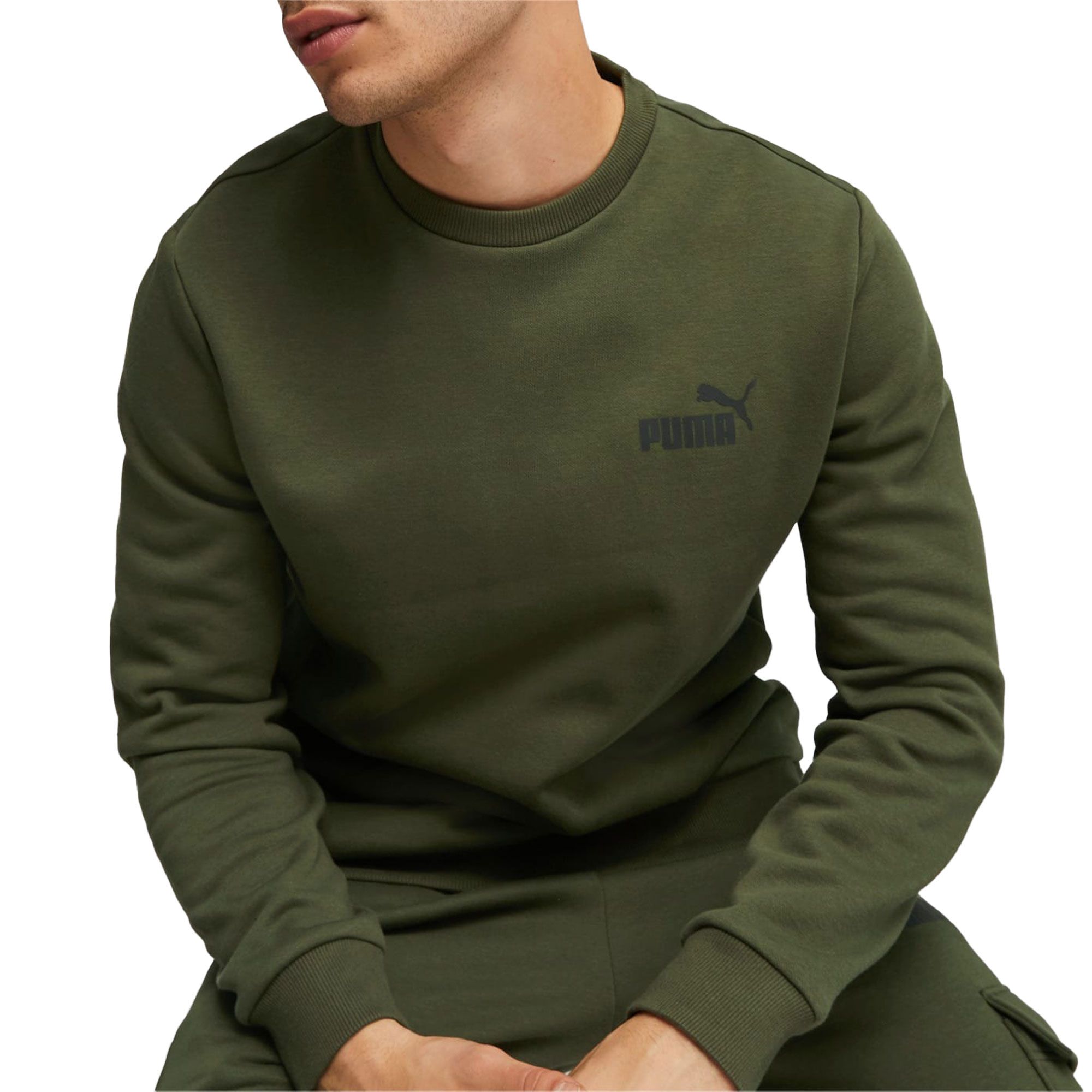 Puma Essentials Small Logo Sweater Heren