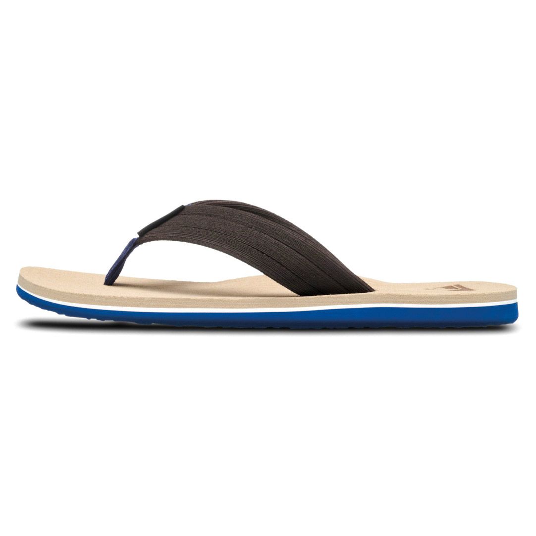 Quiksilver Molokai Layback Teenslippers Heren
