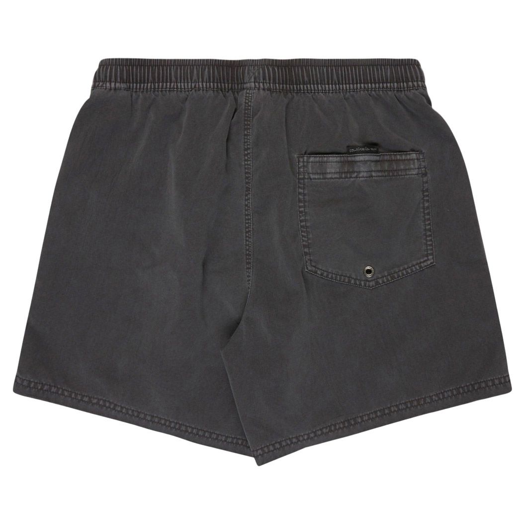 Quiksilver Everyday Surfwash 15" Zwemshort Heren