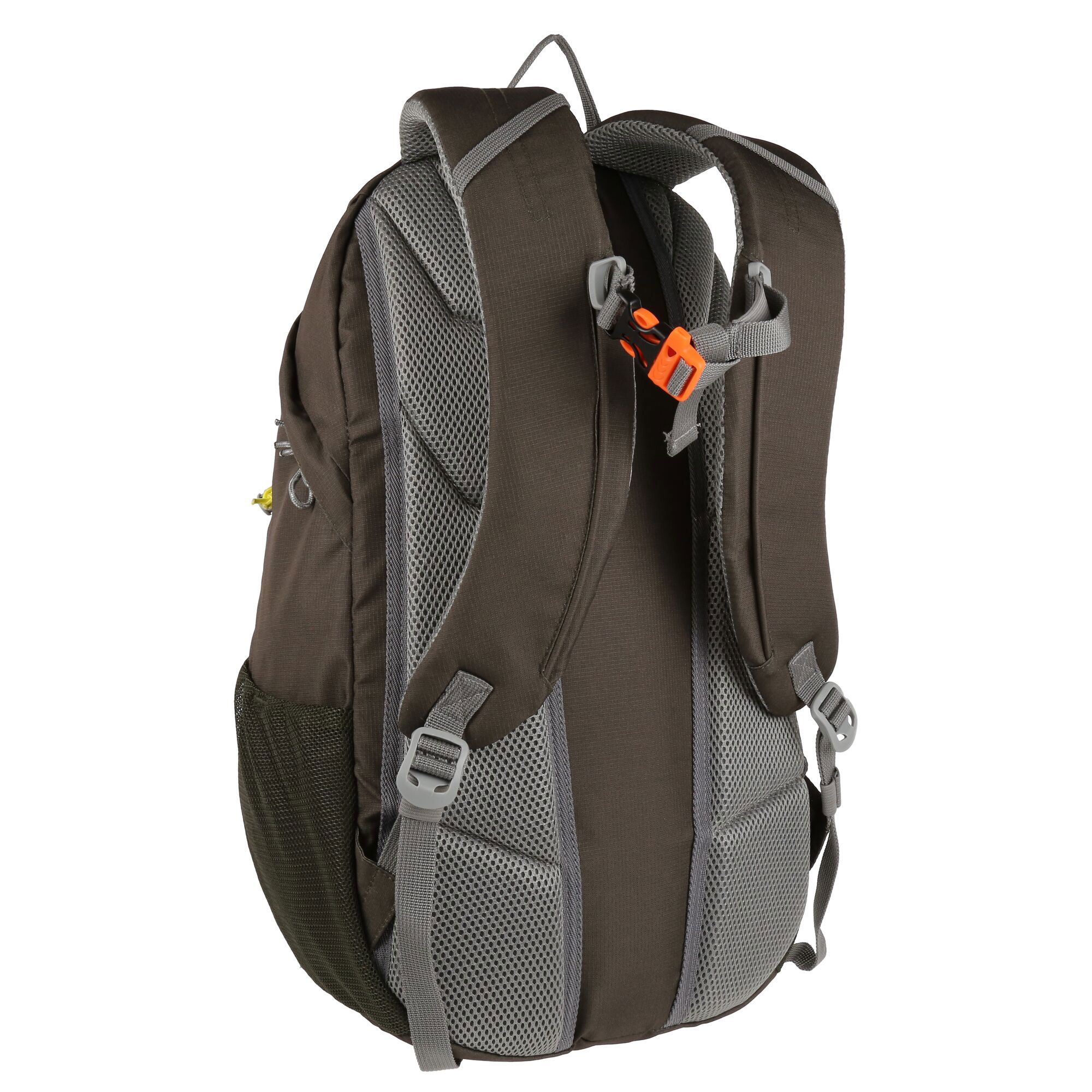 Regatta Survivor V4 Rugtas (20L)